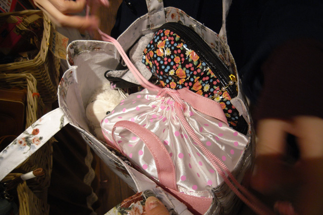 手持ちのバッグにもすっぽり入りました