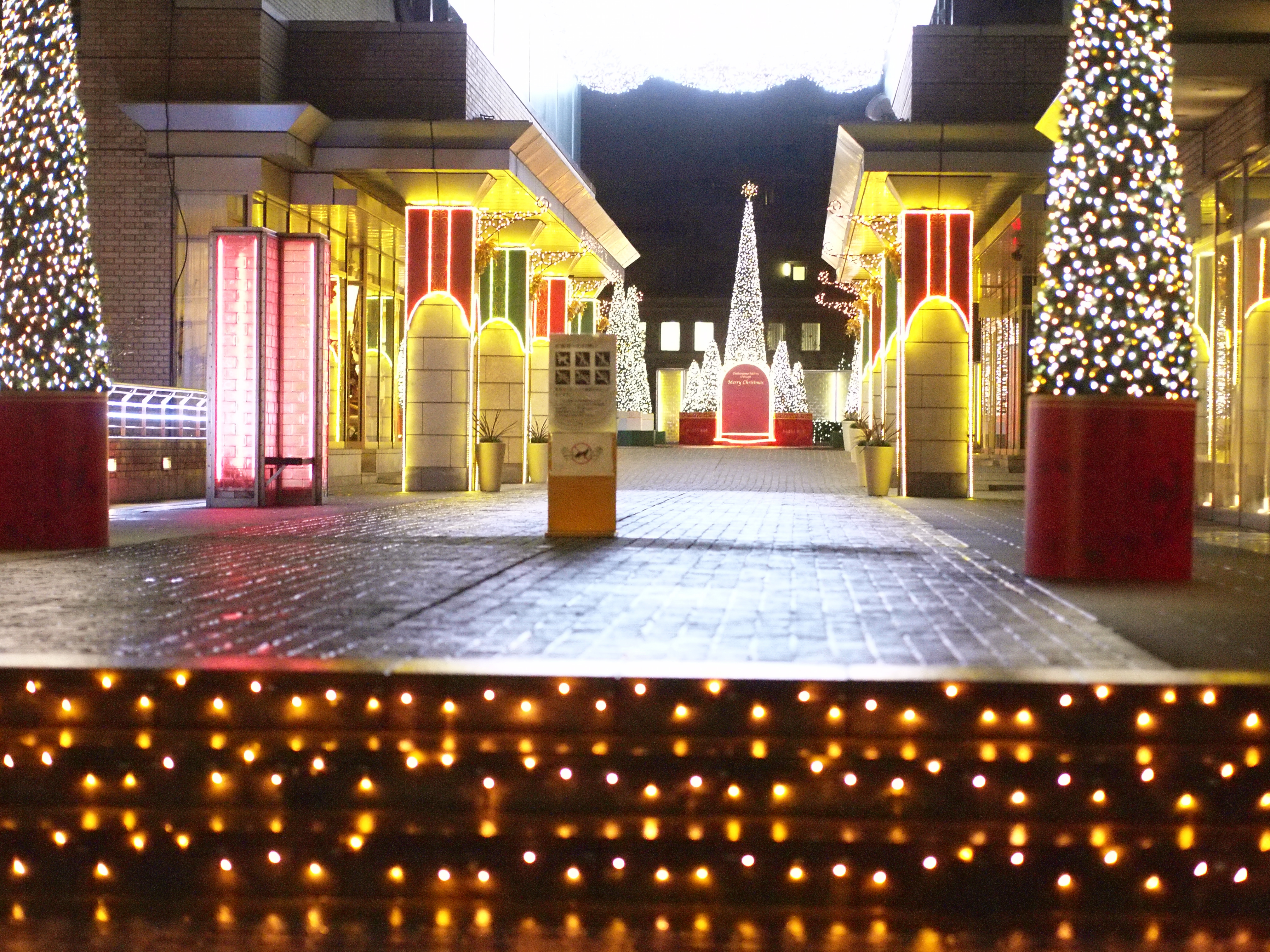 E-P2/ M.ZUIKO DIGITAL 45mm F1.8 / 絞り優先 F1.8 / ISO4000 / WB:オート