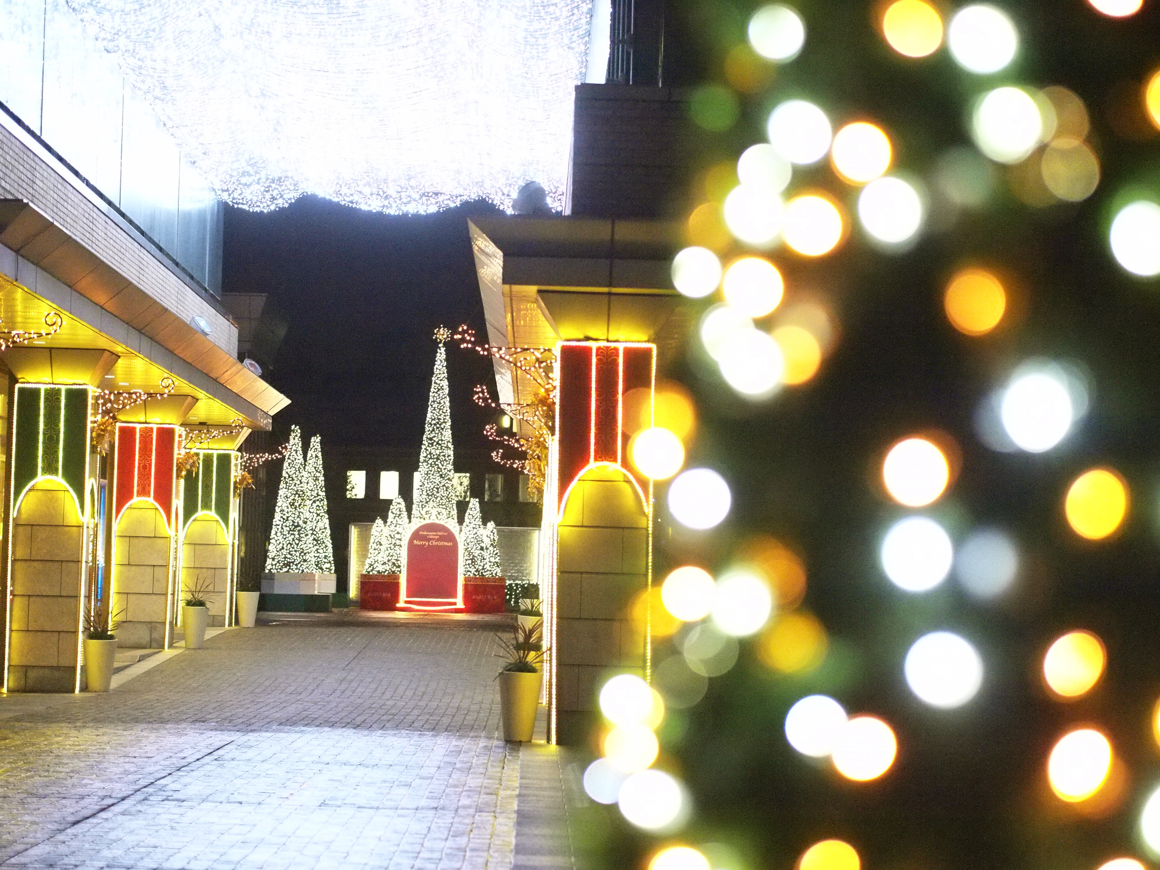 E-P2/ M.ZUIKO DIGITAL 45mm F1.8 / 絞り優先 F1.8 / ISO4000 / WB:オート