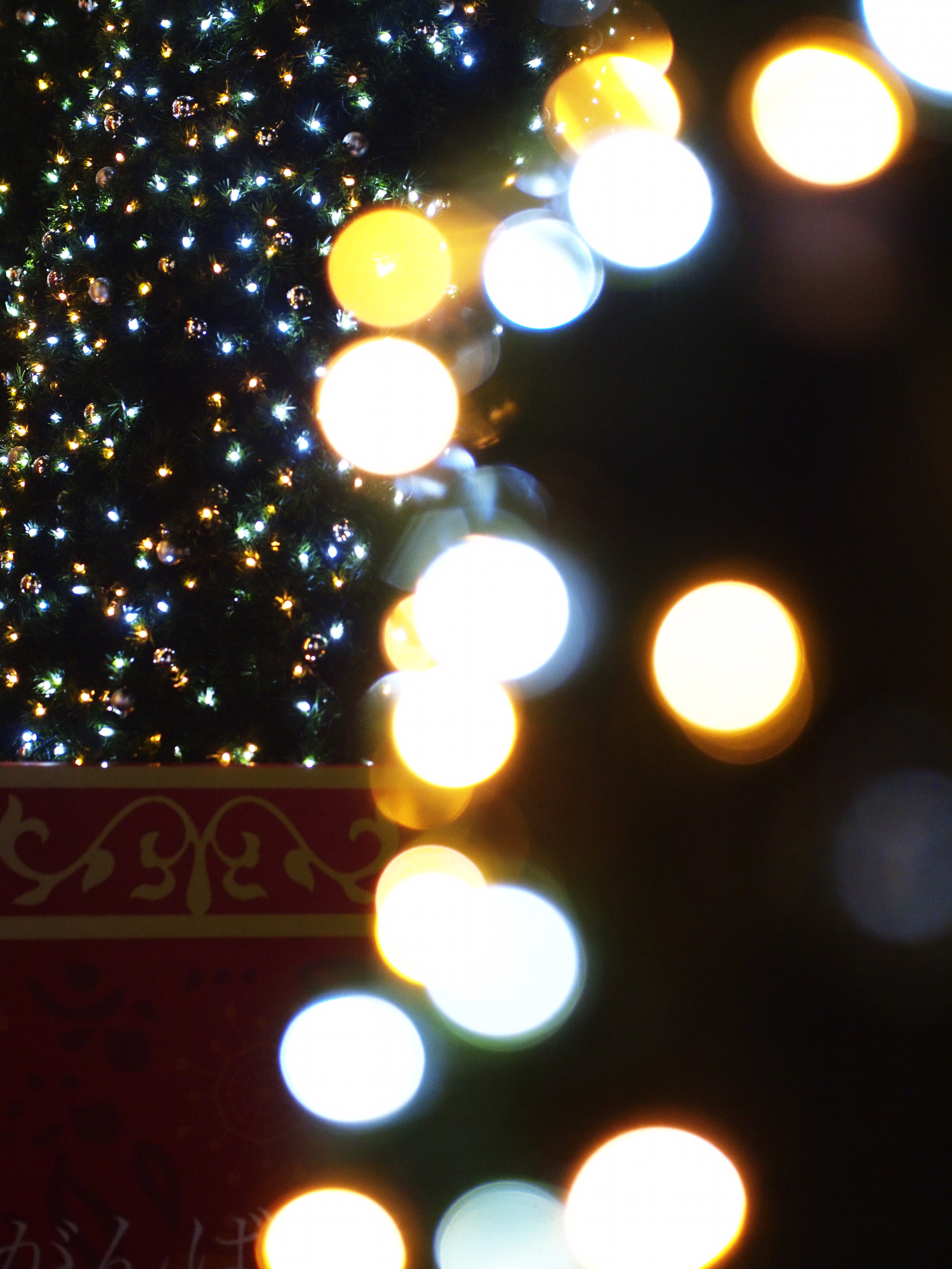 E-P2/ M.ZUIKO DIGITAL 45mm F1.8 / 絞り優先 F1.8 / ISO1250 / WB:オート
