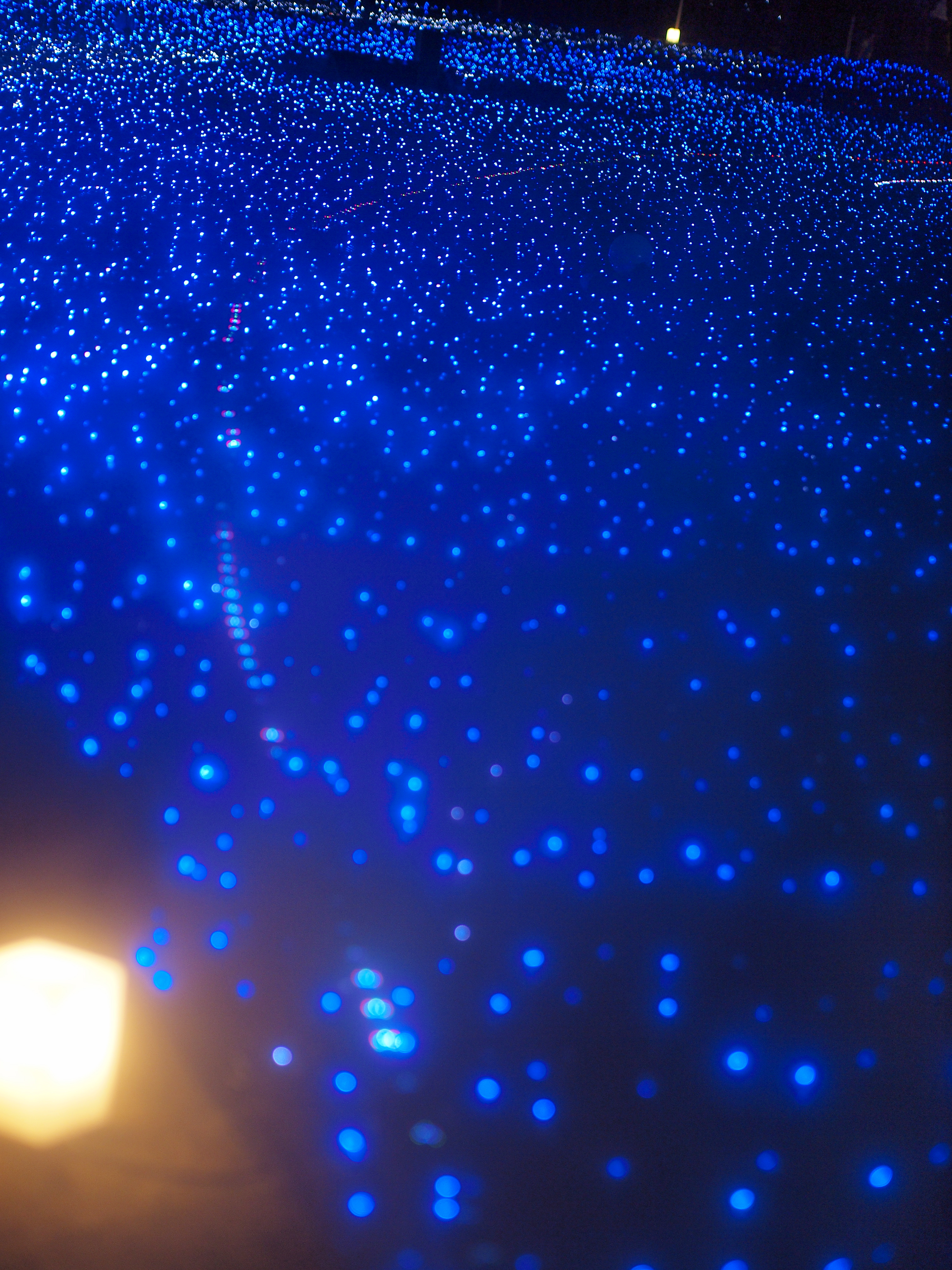 E-P2/ M.ZUIKO DIGITAL 45mm F1.8 / 絞り優先 F1.8 / ISO200 / WB:オート