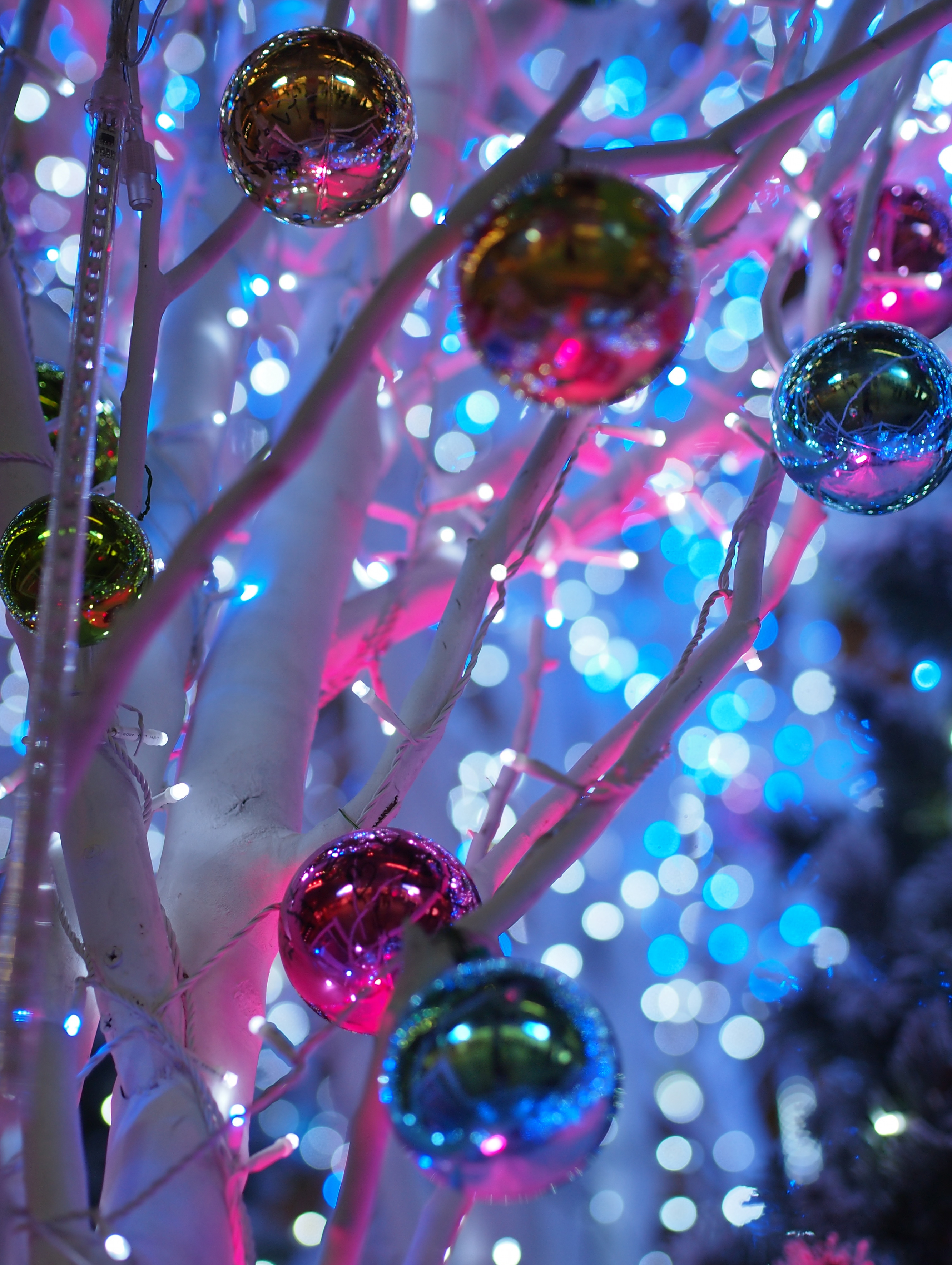 E-PM1/ M.ZUIKO DIGITAL 45mm F1.8 / 絞り優先 F1.8 / ISO200 / WB:オート