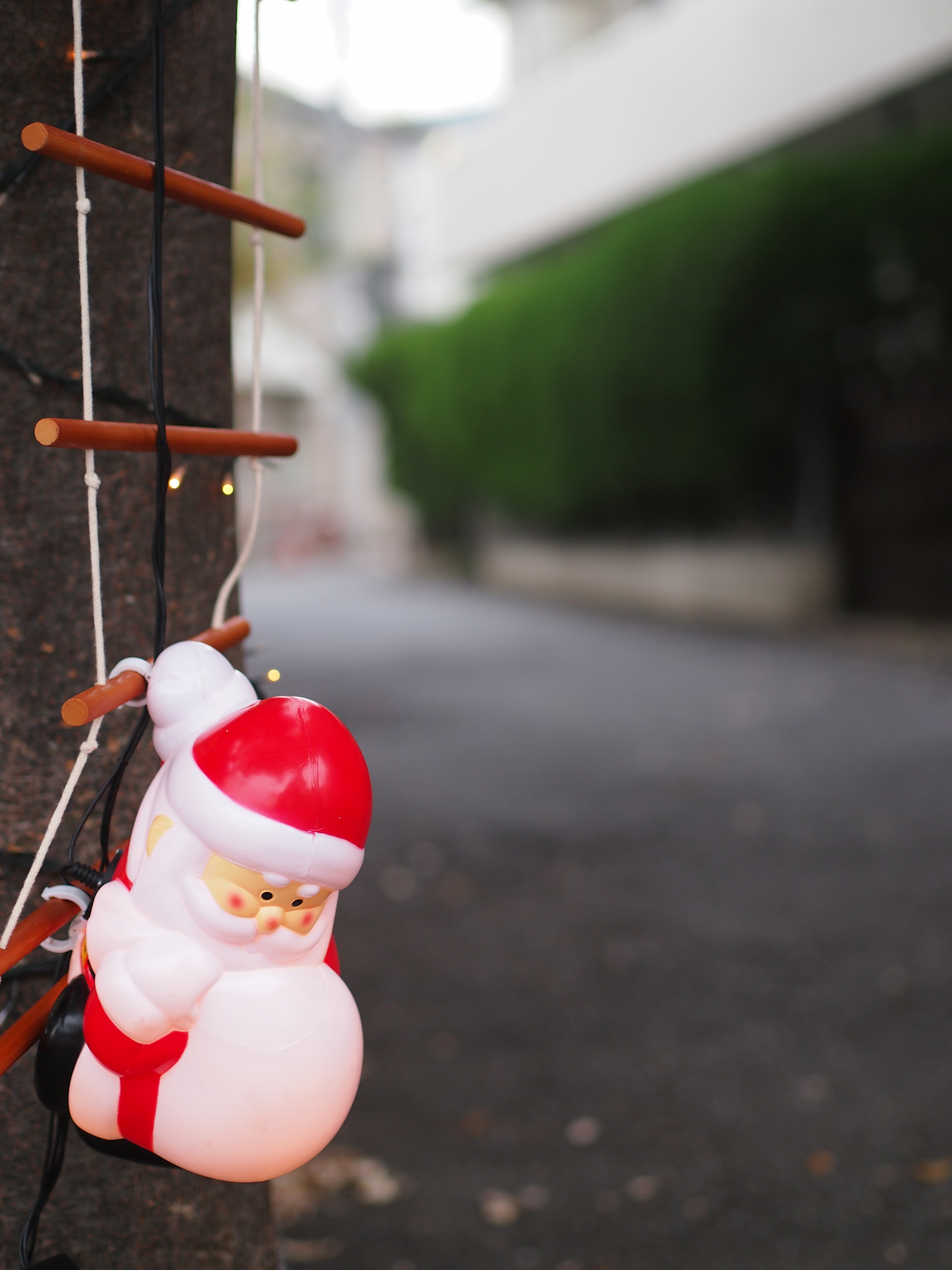 E-PM1/ M.ZUIKO DIGITAL 45mm F1.8 / 絞り優先 F1.8 / ISO200 / WB:オート