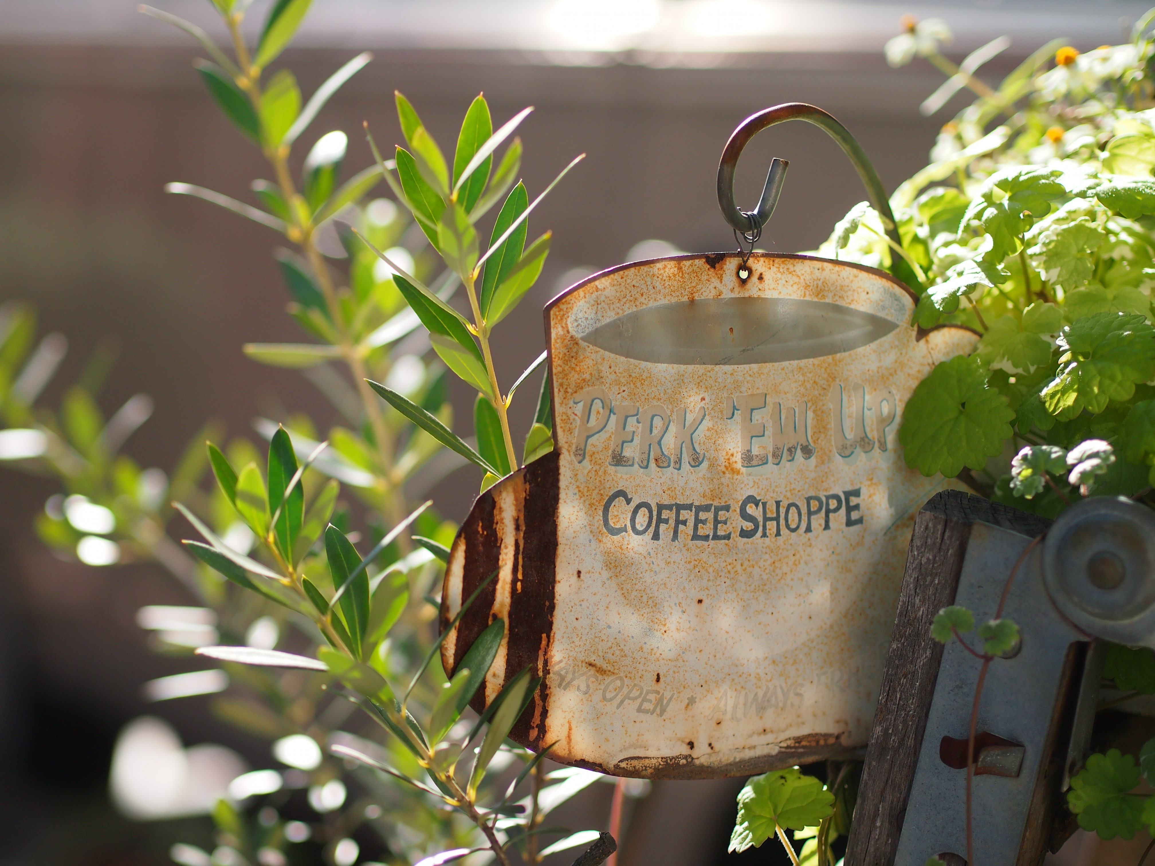 E-PM1/ M.ZUIKO DIGITAL 45mm F1.8 / 絞り優先 F1.8 / ISO200 / WB:オート