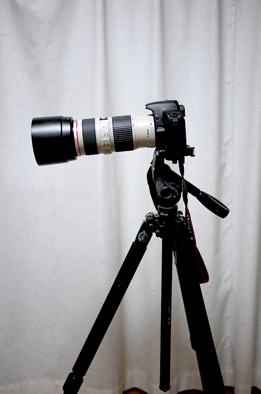長い望遠レンズをつけたカメラでも