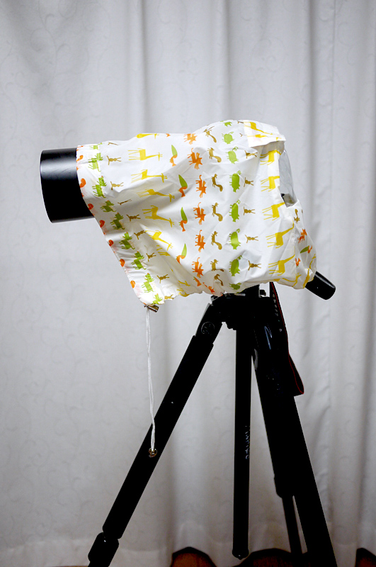 「カメラのレインコート」ならこの通り