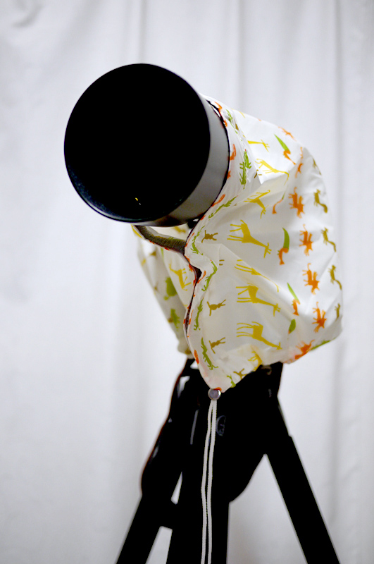 レンズの周りはマジックテープで塞ぎます。なお、「カメラのレインコート」にレンズフードは必須です