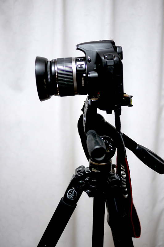 標準ズームレンズなどの短いレンズでも利用できます