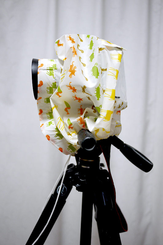 短めのレンズではこの通り