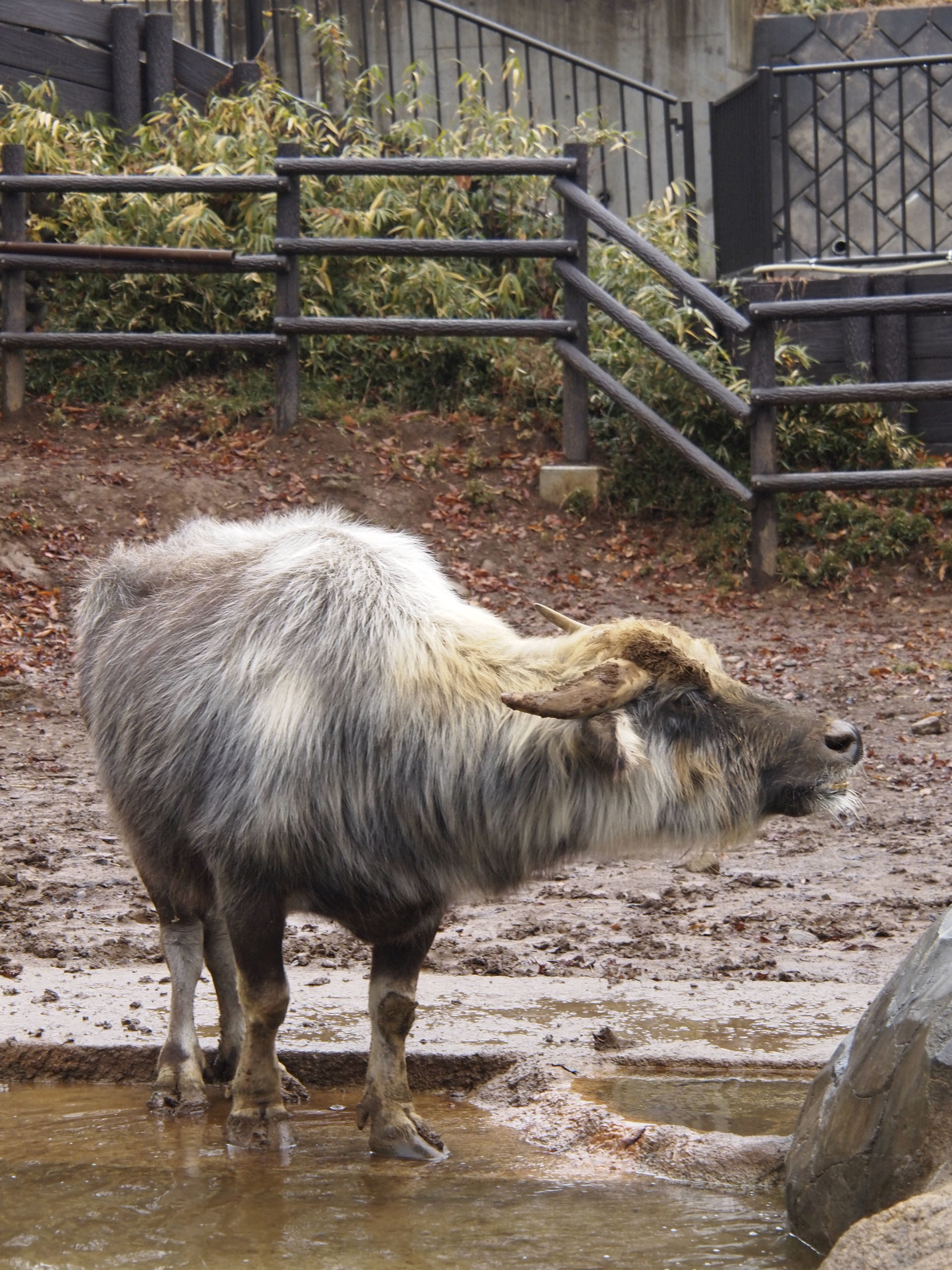 撮影：葉月さくら