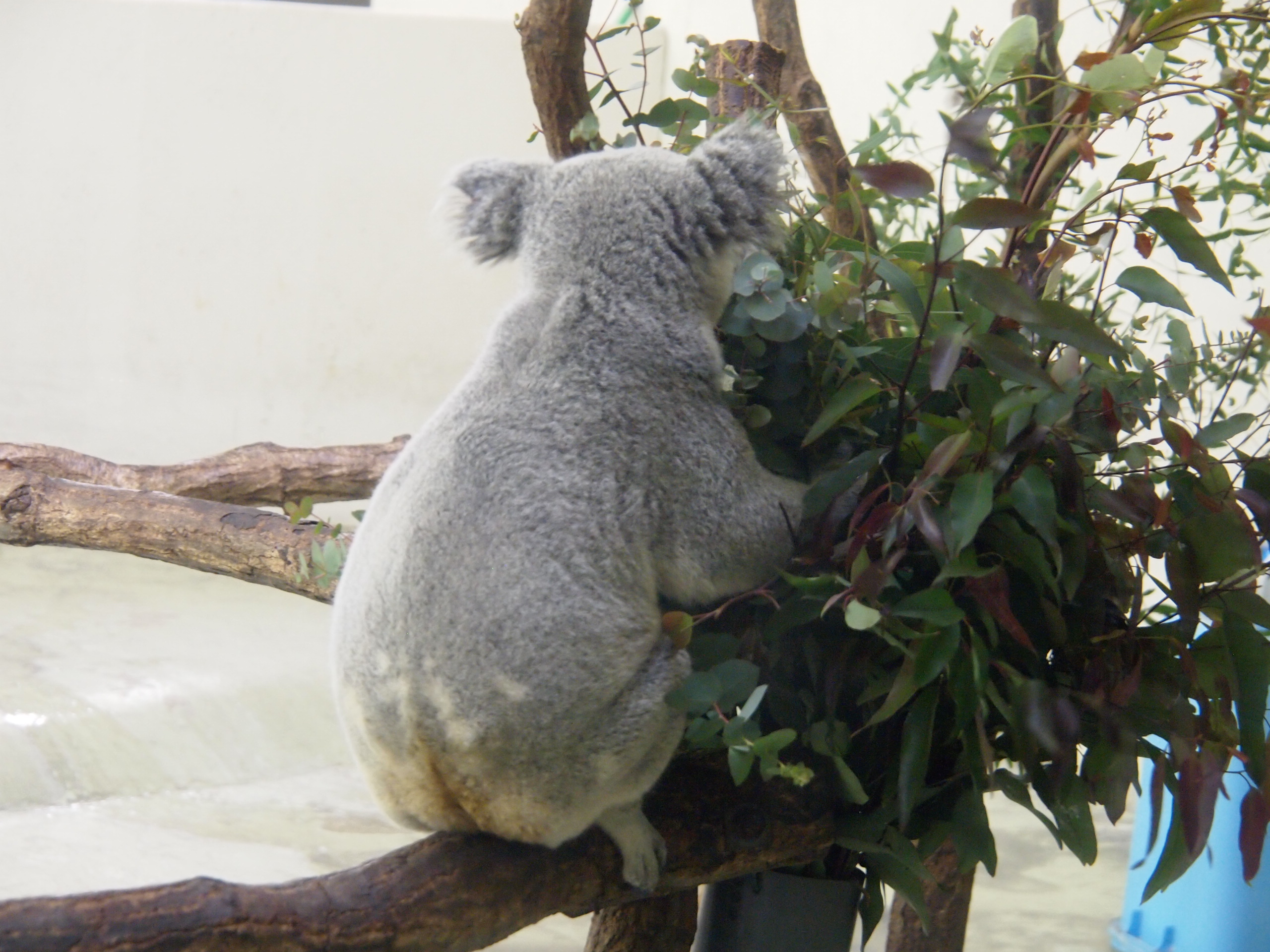 撮影：葉月さくら