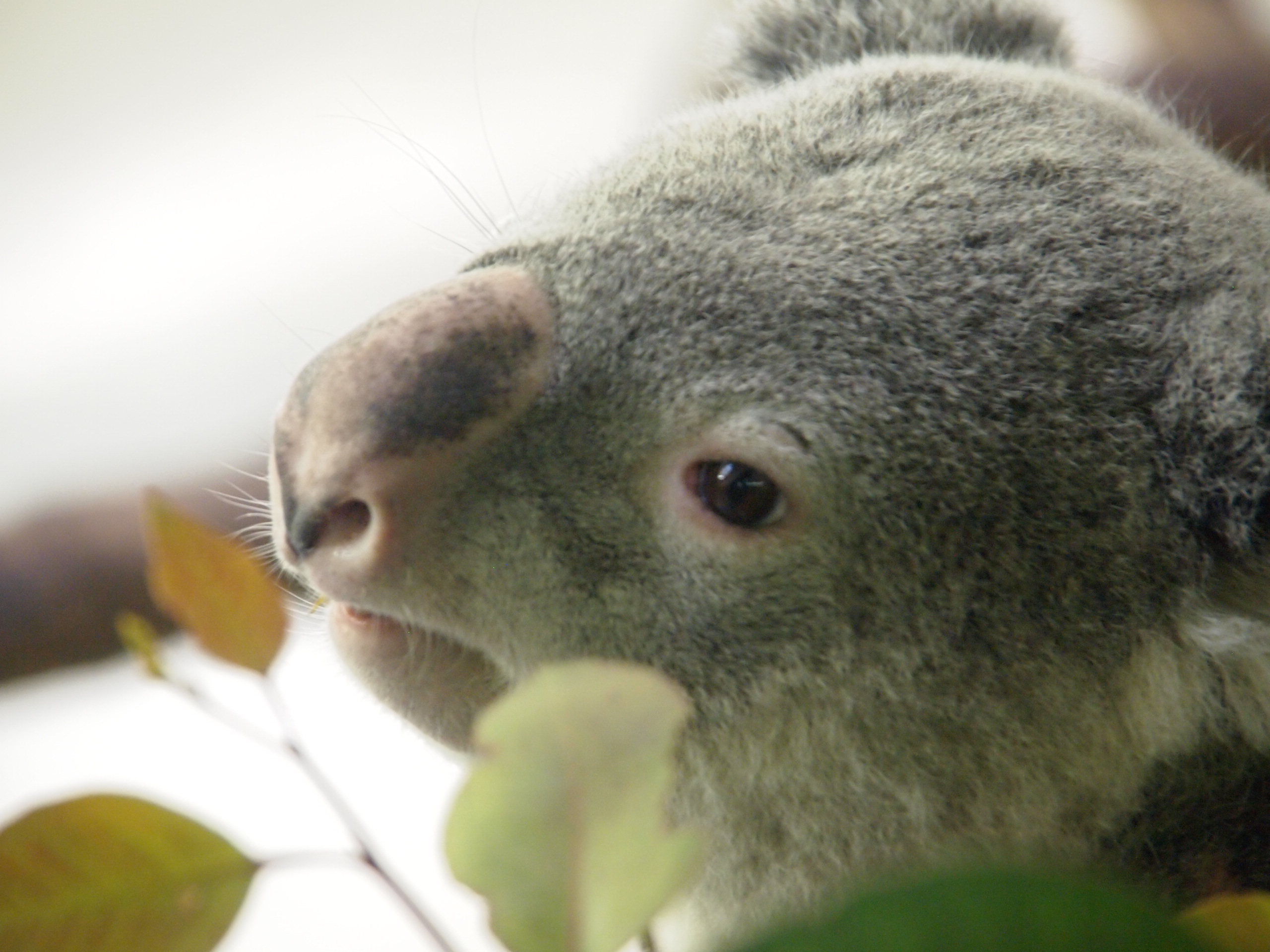 撮影：葉月さくら