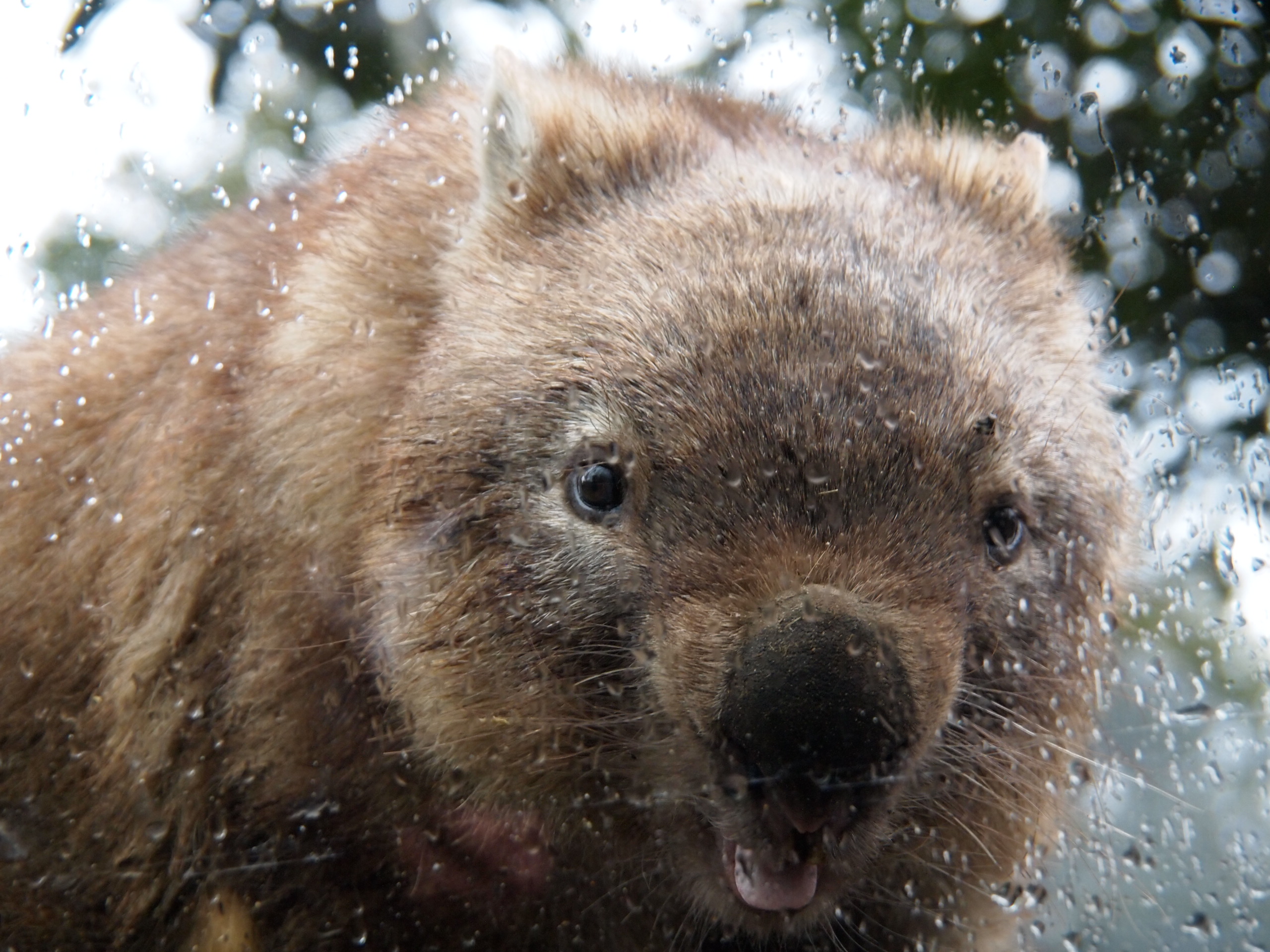 撮影：葉月さくら