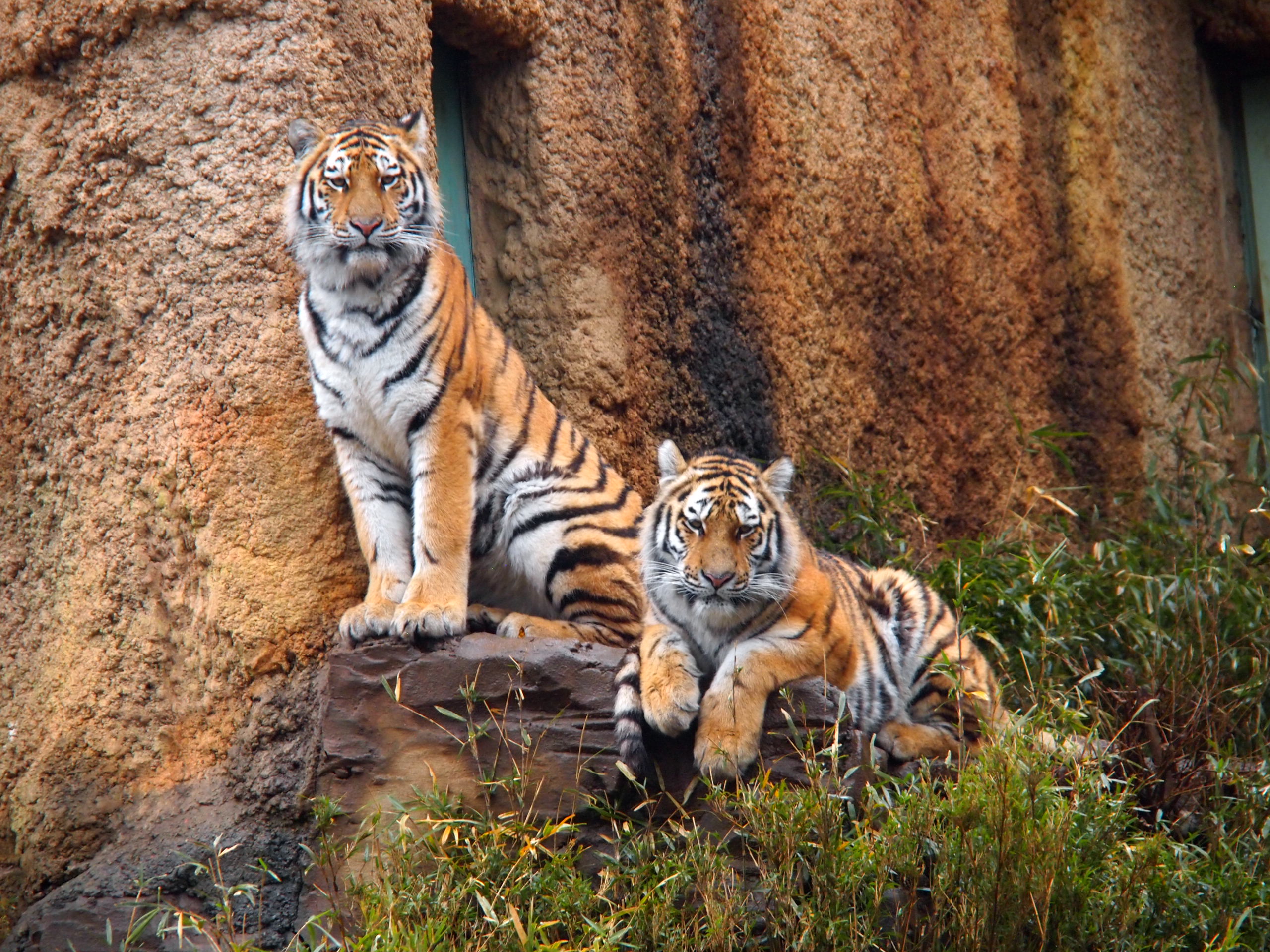 撮影：葉月さくら