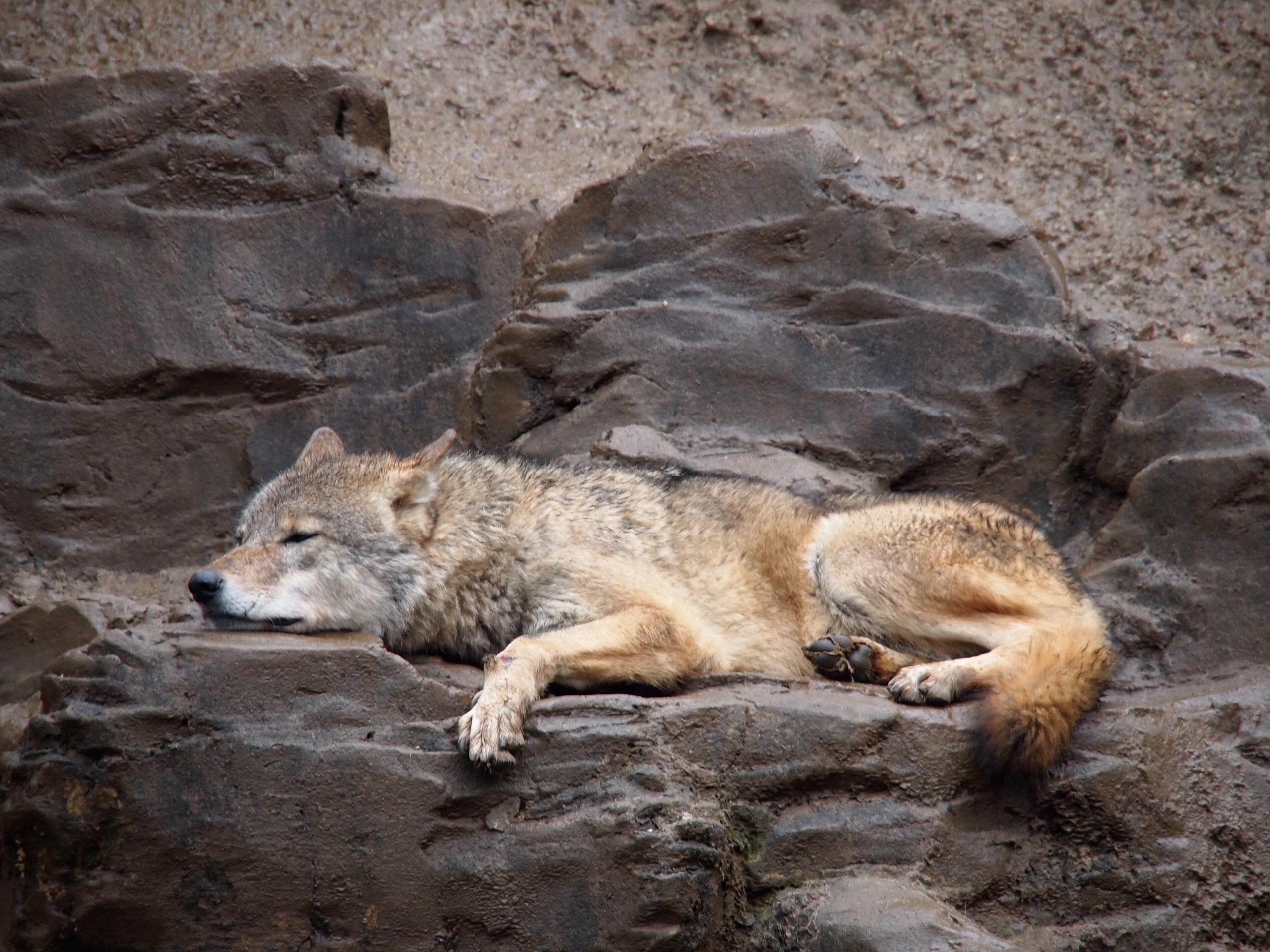 撮影：葉月さくら