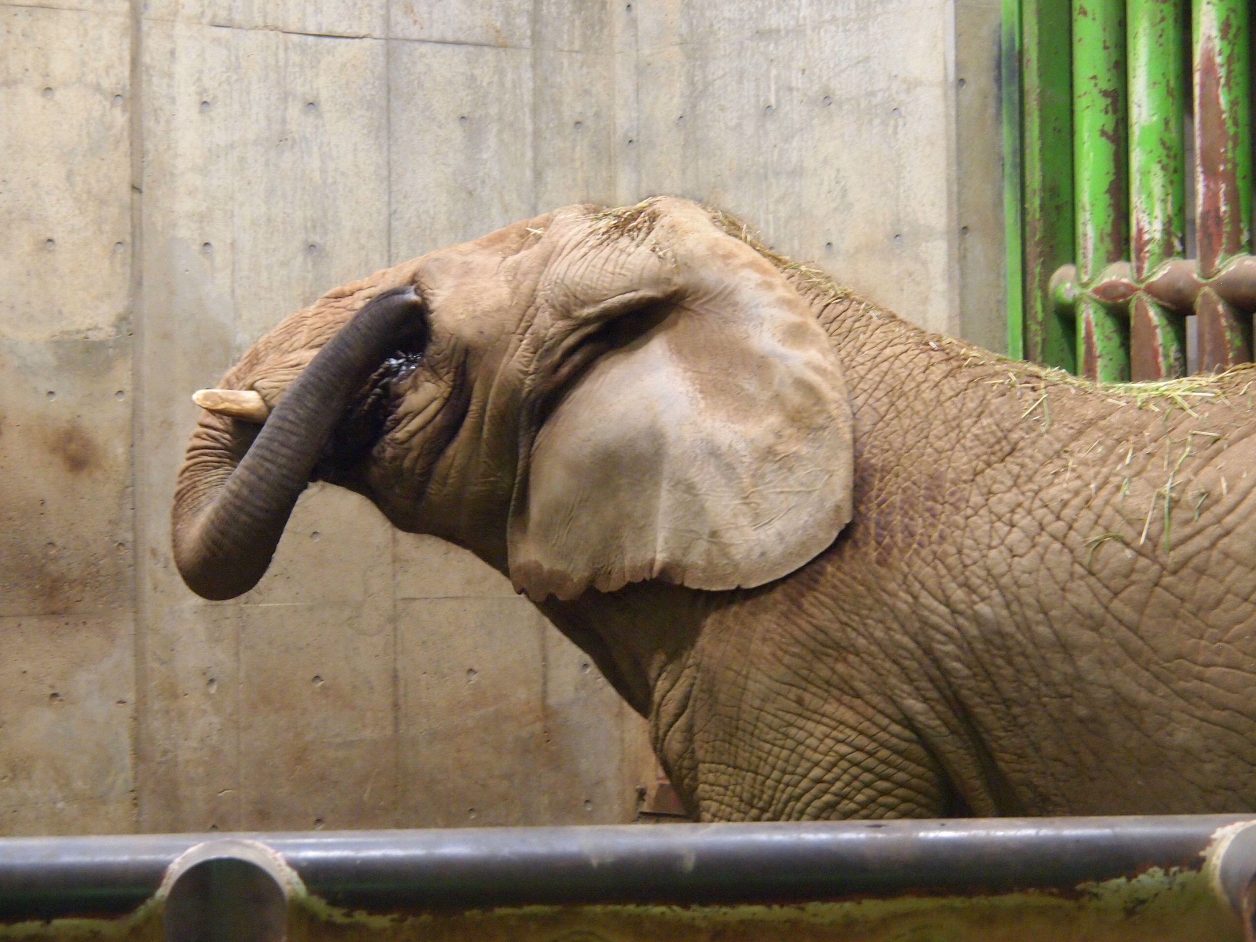 撮影：葉月さくら