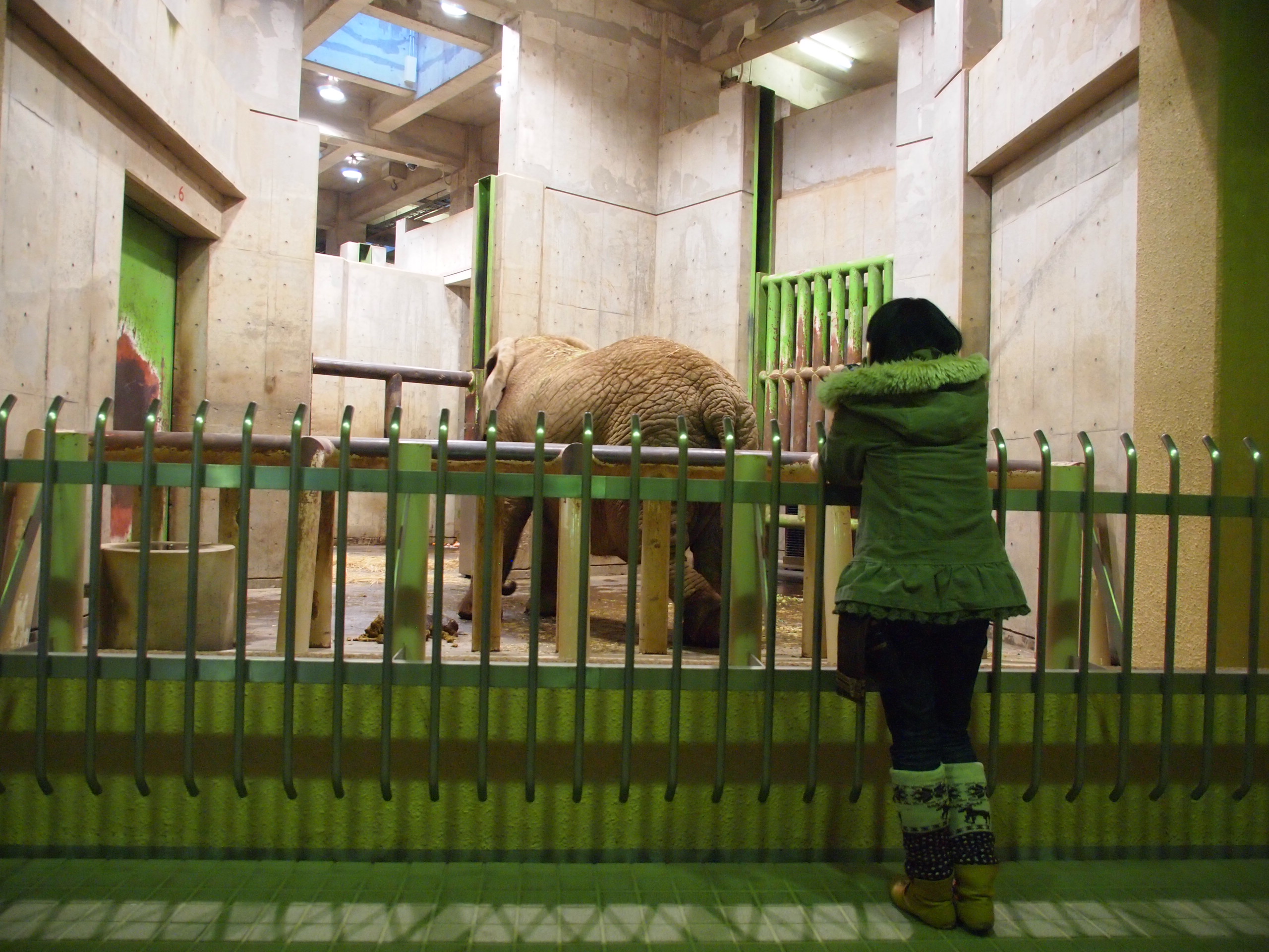 撮影：葉月さくら