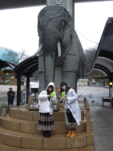 東京都の多摩動物公園にやってきました！ ゲストは前回から引き続き、葉月さくらさん（左）です！