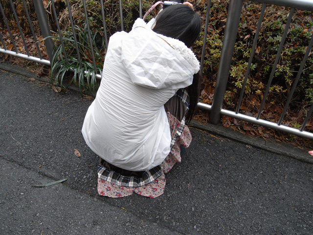 丈の長いスカートが地面にべったり