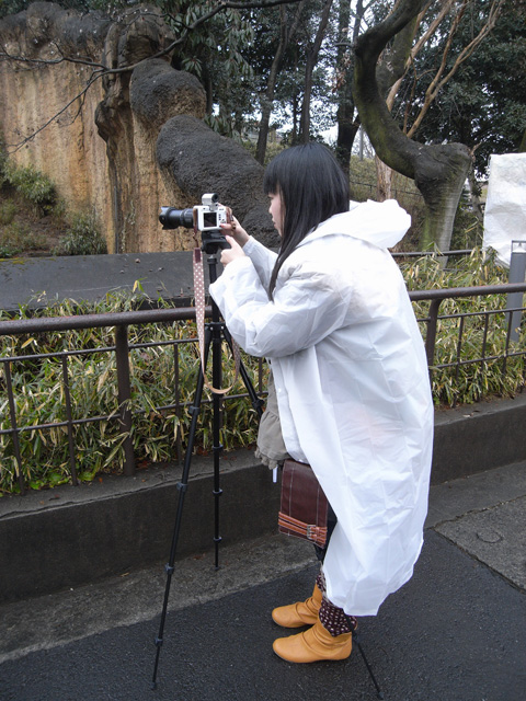 マンフロットのCOMPACT三脚で撮影に挑戦するが・・・