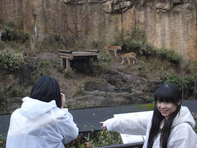 ここまでまったりとした動物ばかりだったからか、本日初遭遇の肉食動物にテンション上がりまくり
