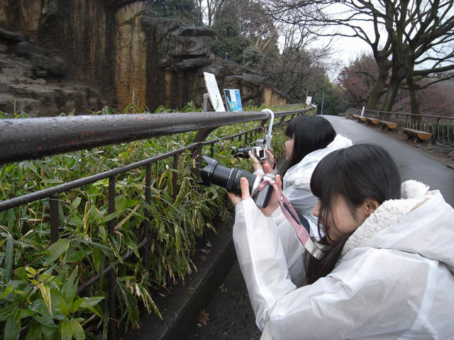 草むらを前景に入れてのショットを狙うふたり。でもちょっと怪しい？