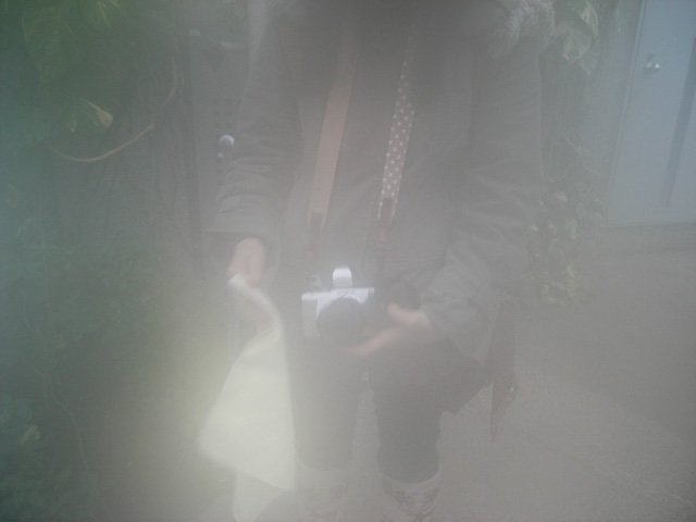 外部と温室の急激な温度差で、レンズ曇りまくり！