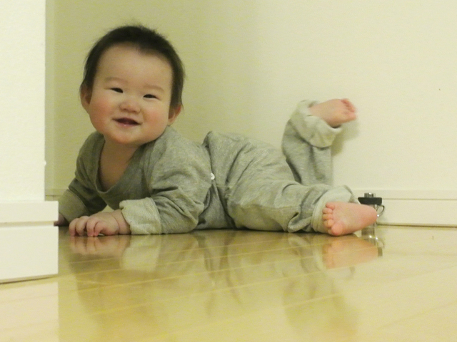 現在8カ月。最近はいはいが高速です。お気に入りの場所に移動したところで「ワンワン」などの擬音で笑顔をもらいました