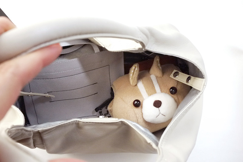 つぶらな瞳でこちらを見つめる「シマリスくん」