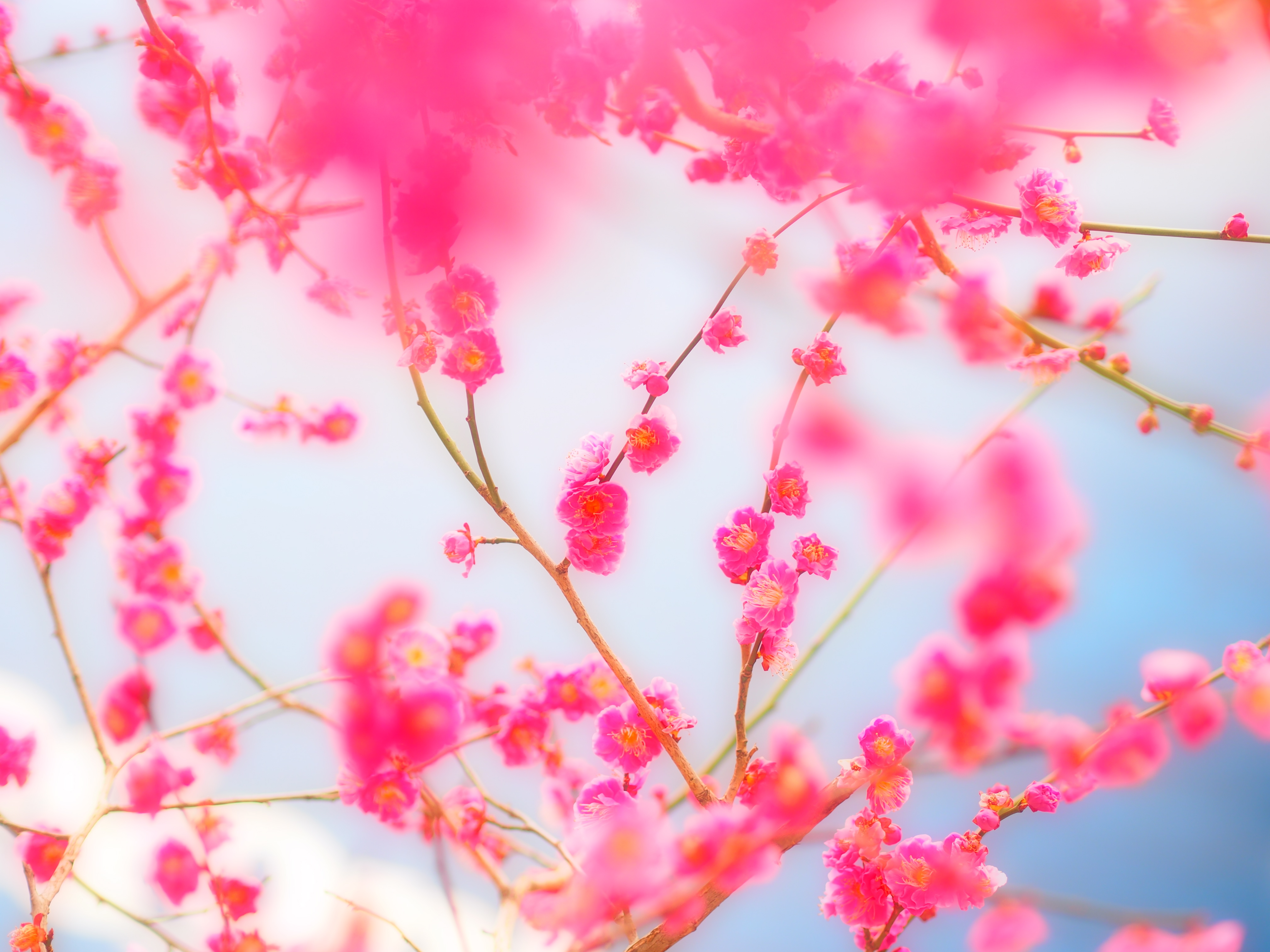 E-PM1 / 1/400 秒 / マニュアル / F2 / 0.00EV / ISO200 / WB:自動 / 45mm