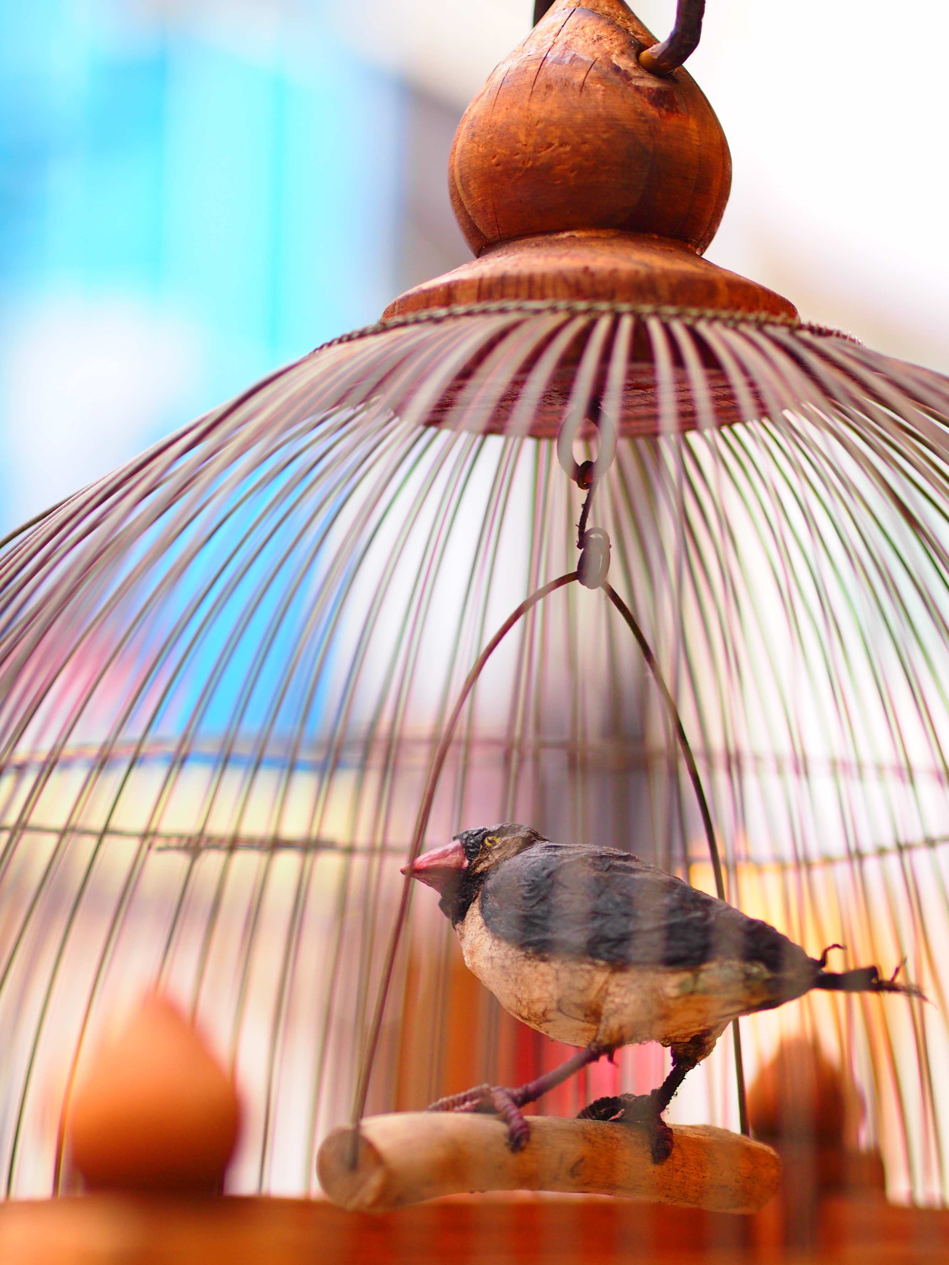 E-PM1 / 1/200 秒 / 絞り優先 / F1.8 / 0.70EV / ISO200 / WB:自動 / 45mm