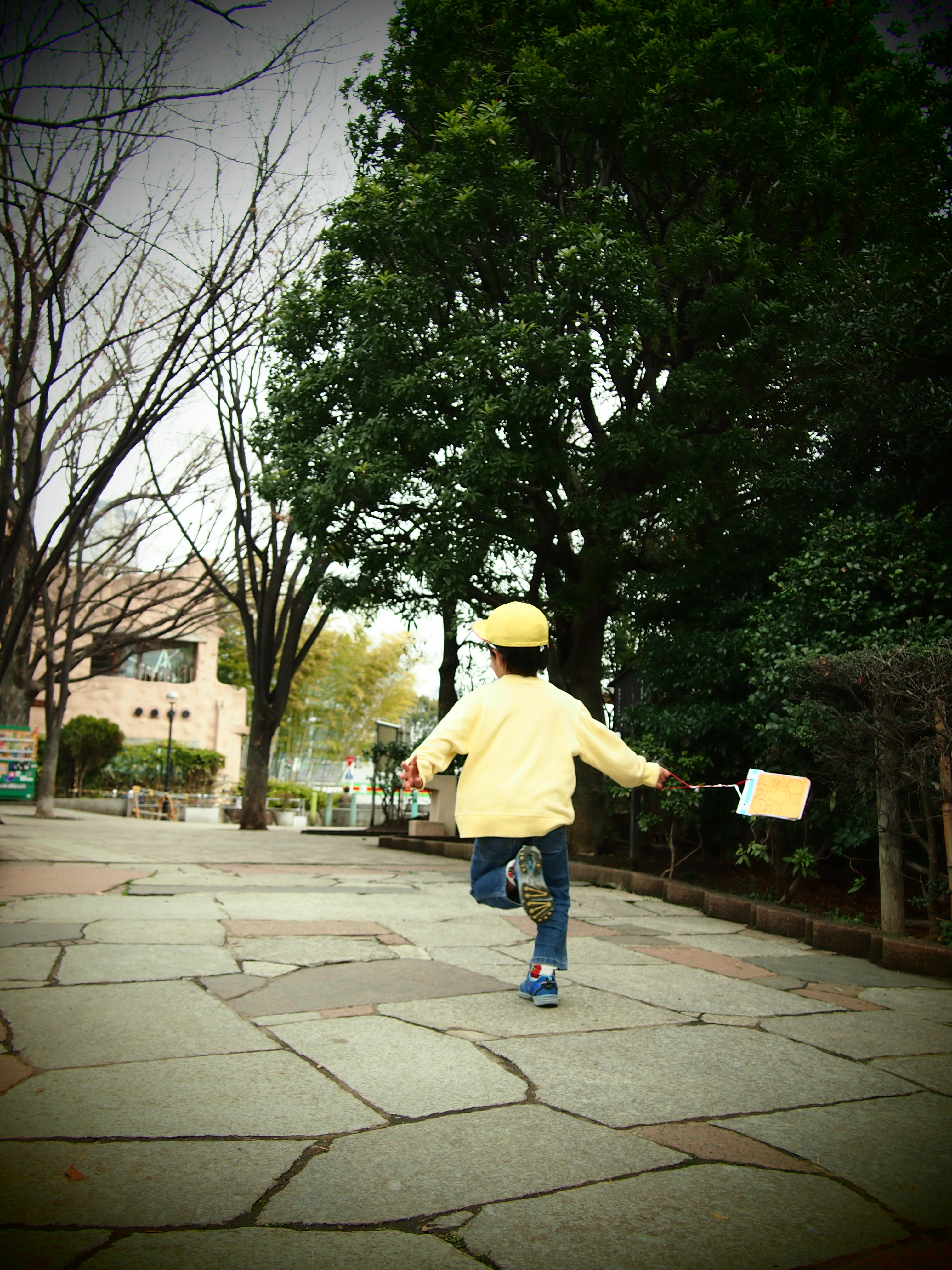 E-PM1 / 1/500 秒 / 絞り優先 / F3.6 / 1.00EV / ISO200 / WB:自動 / 16mm