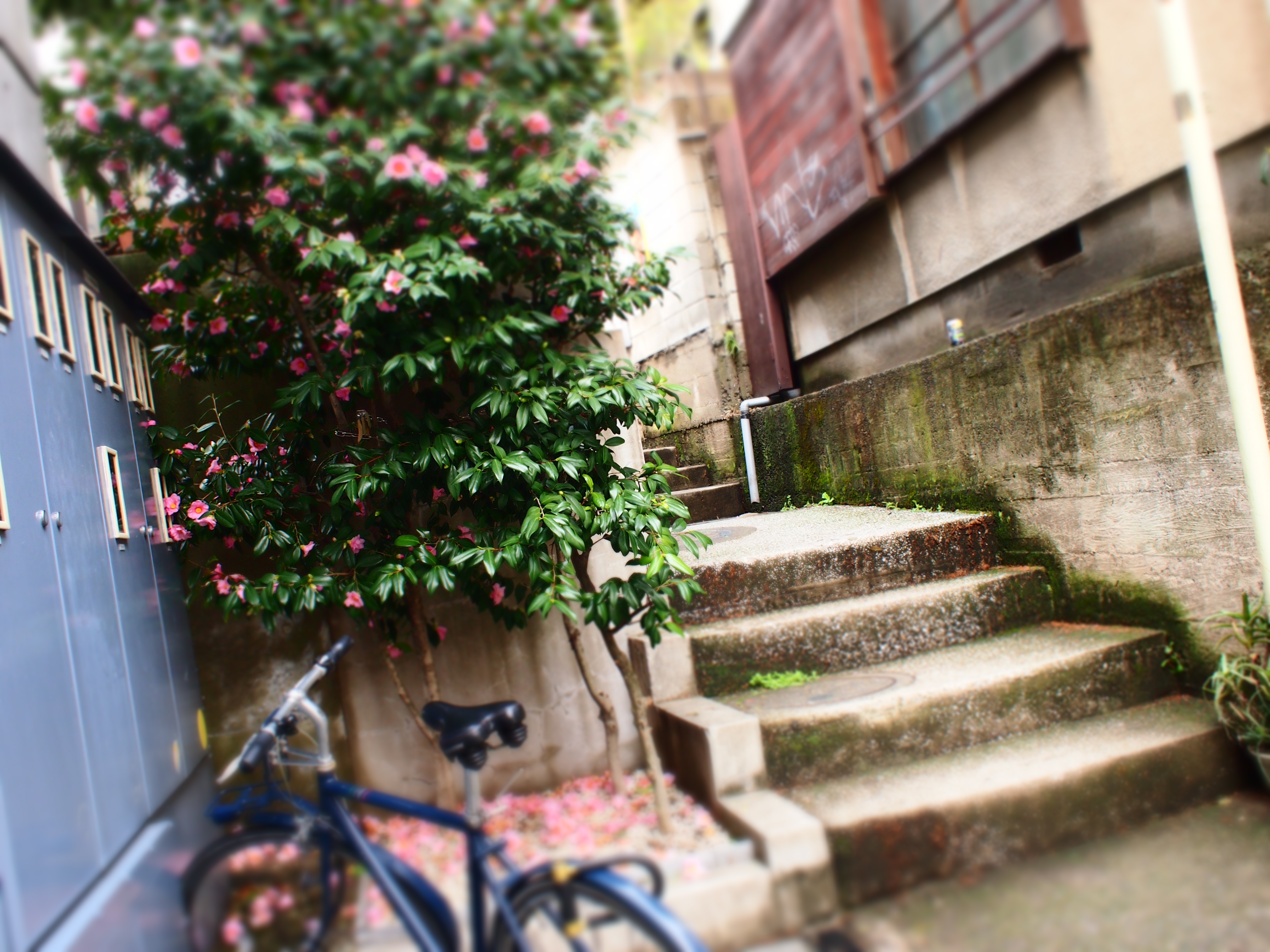 E-PM1 / 1/60 秒 / 絞り優先 / F5.6 / 429496736.00EV / ISO250 / WB:自動 / 17mm