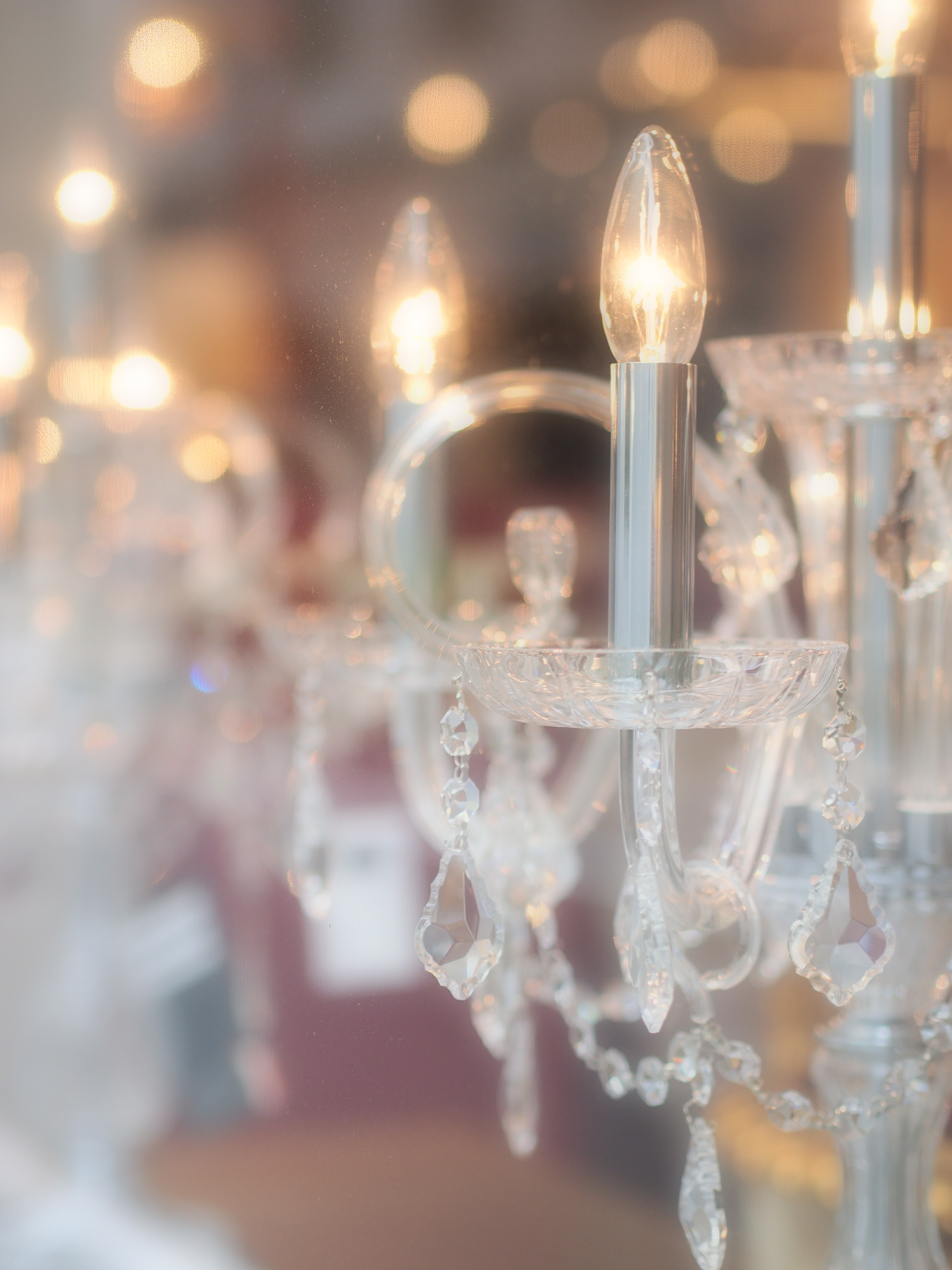 E-PM1 / 1/800 秒 / 絞り優先 / F1.8 / 0.00EV / ISO200 / WB:自動 / 45mm