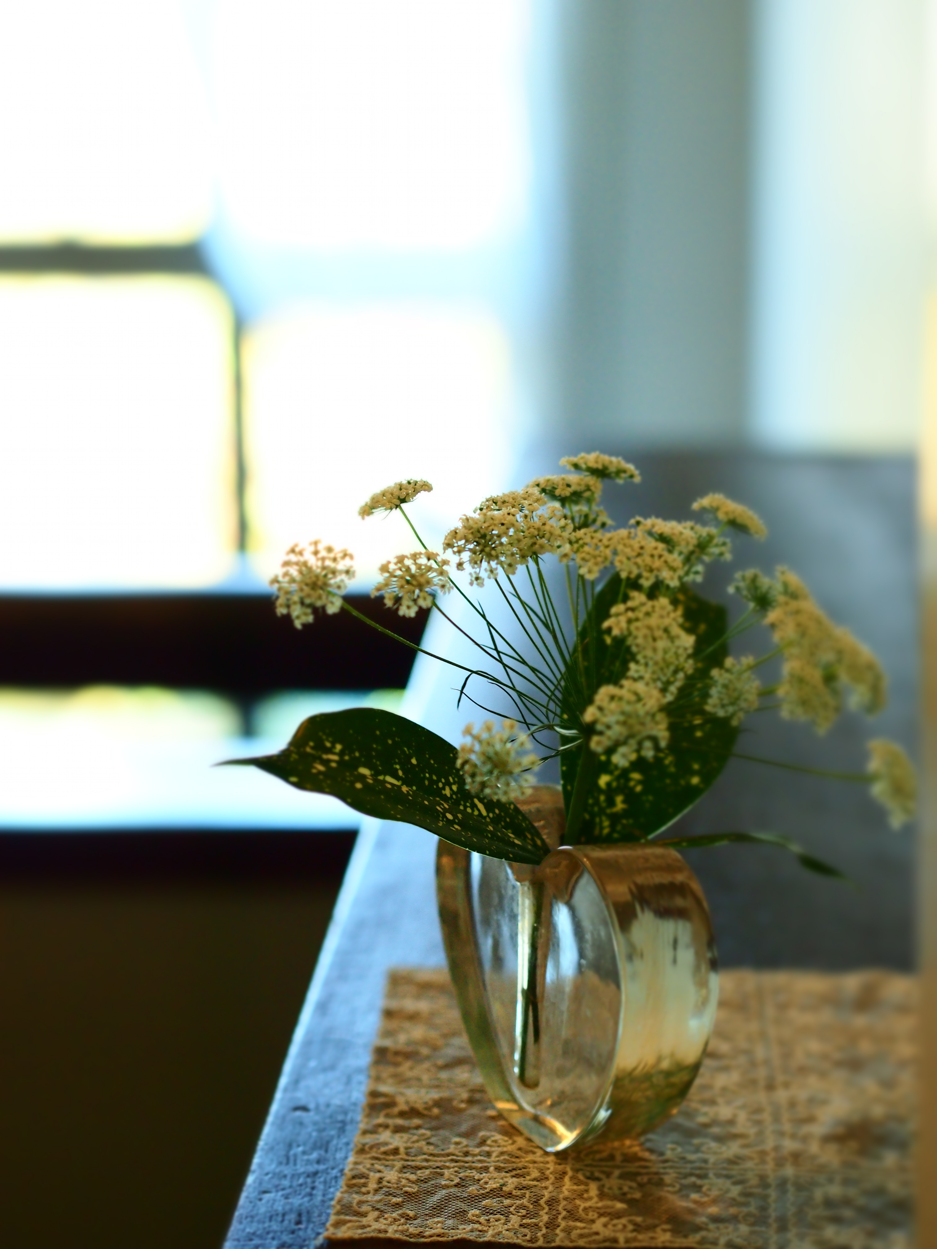 E-PM1 / 1/100 秒 / 絞り優先 / F2.8 / 0.30EV / ISO640 / WB:自動 / 45mm