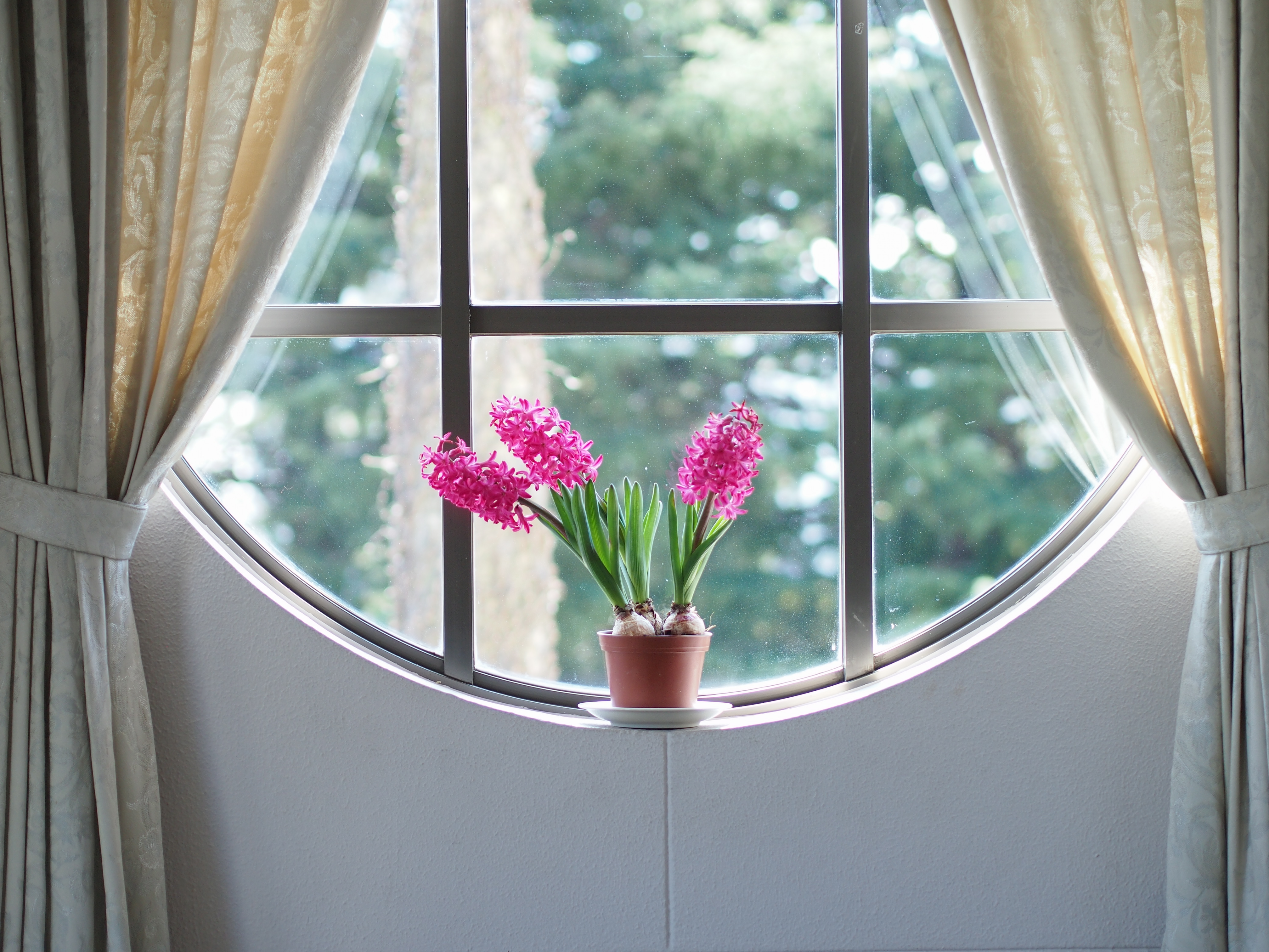 E-PM1 / 1/400 秒 / 絞り優先 / F1.8 / 0.70EV / ISO200 / WB:自動 / 45mm