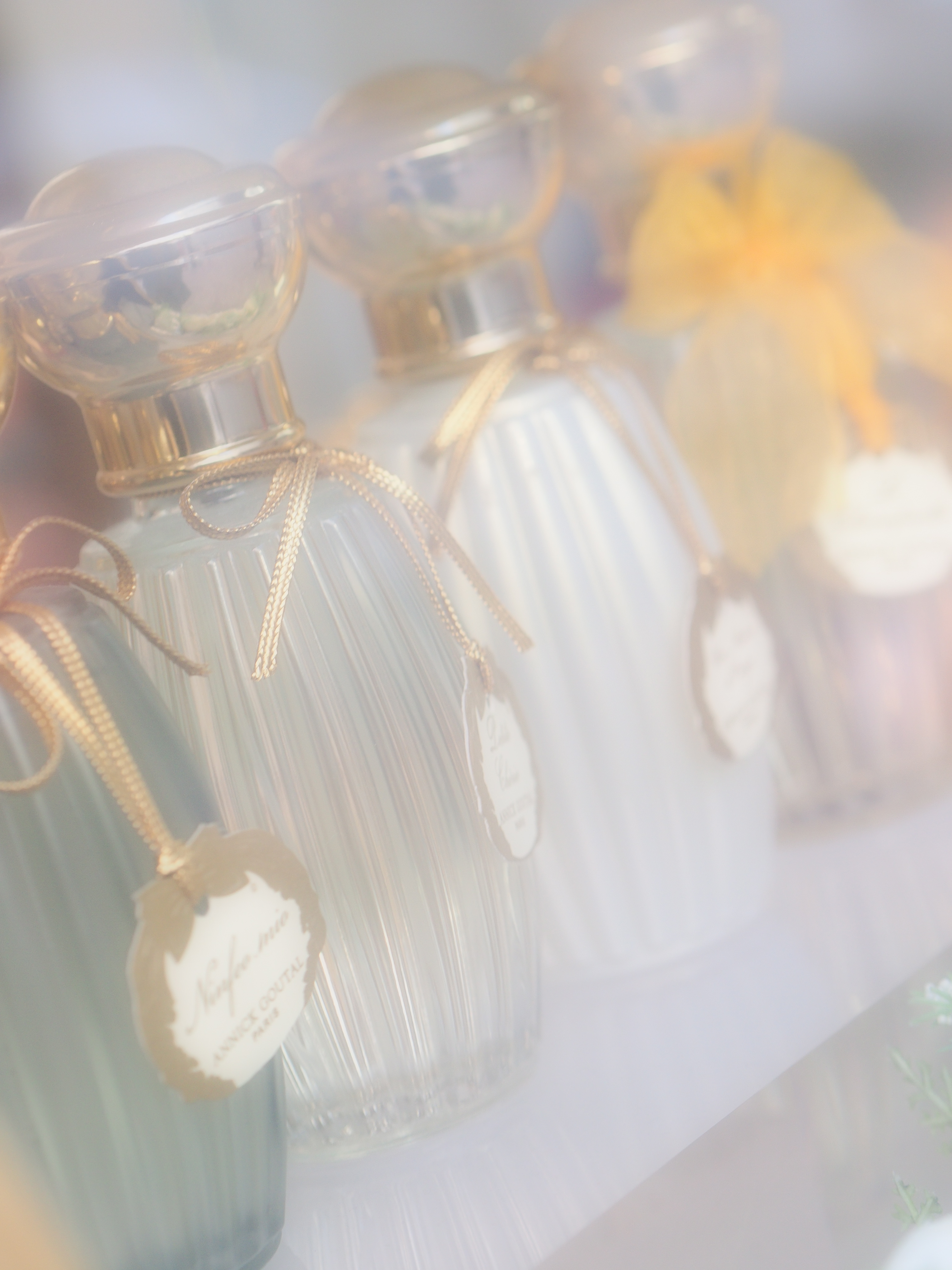 E-PM1 / 1/100 秒 / 絞り優先 / F3.5 / 0.00EV / ISO250 / WB:自動 / 45mm