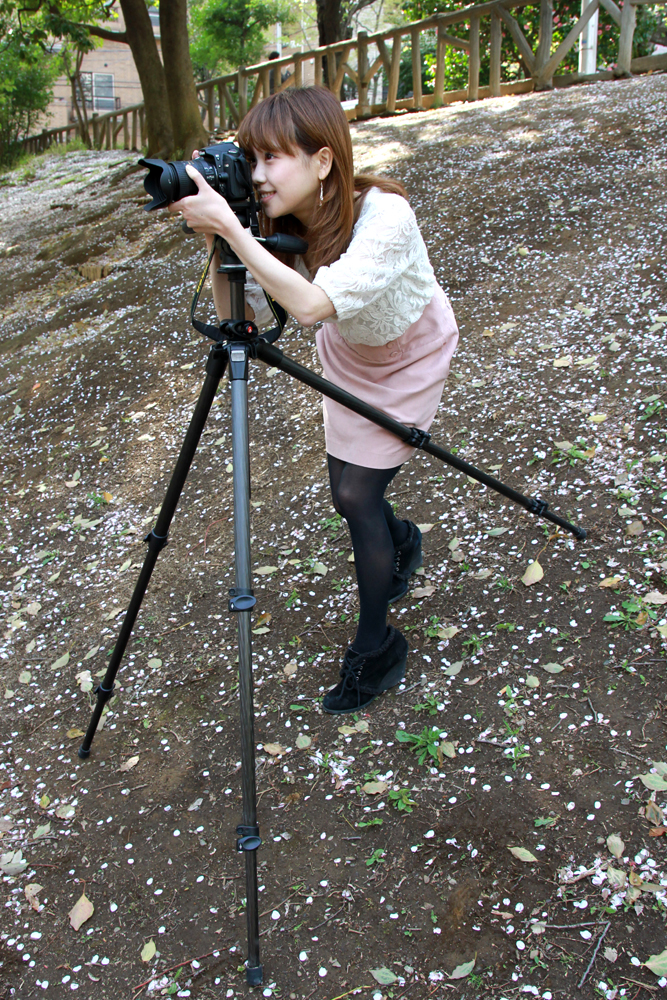 基本の立て方とは逆に前脚を二本、後ろ脚を一本にすると安定感が出ます。