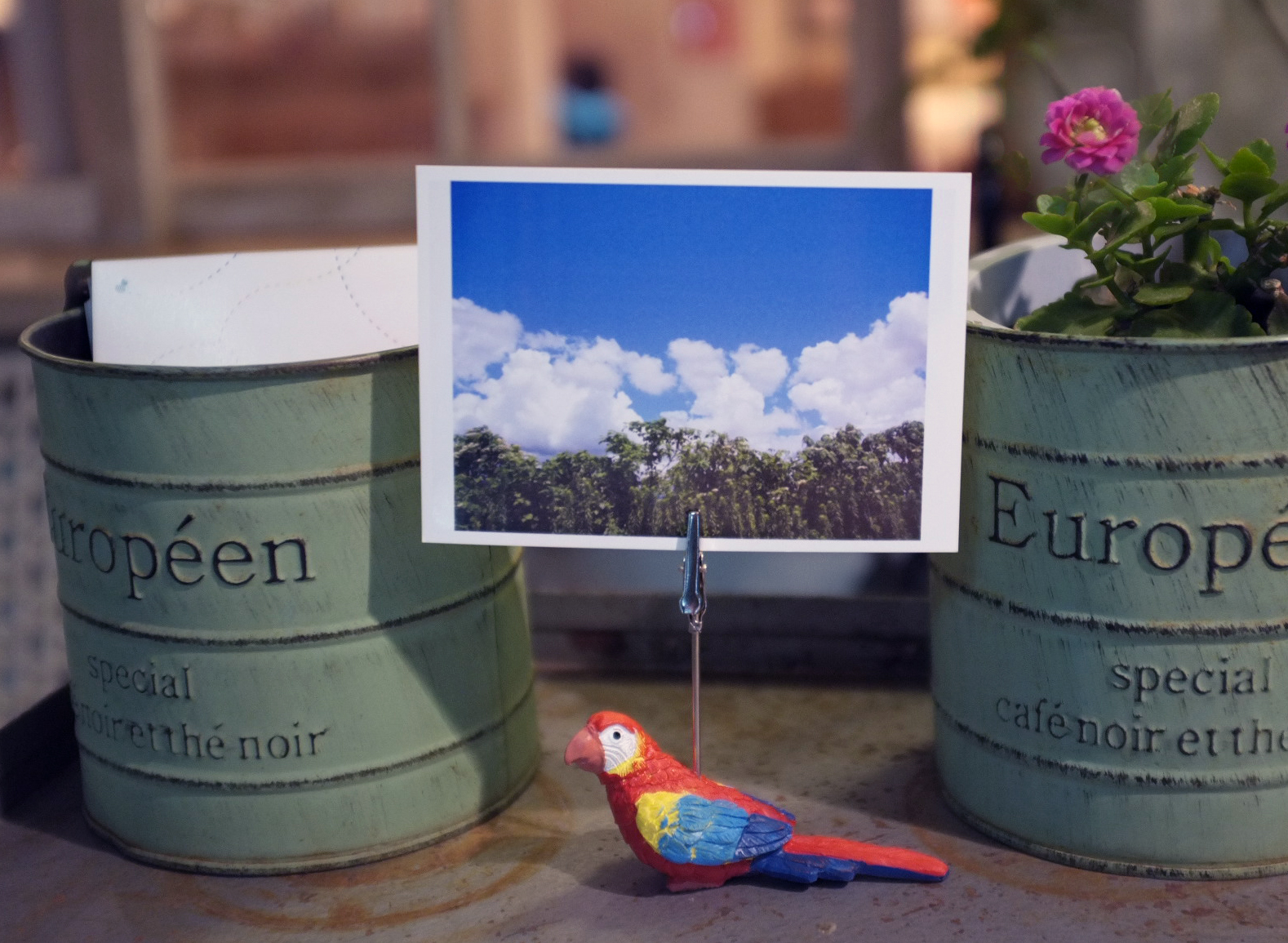 ハイスタンド　バード／ポパイカメラ