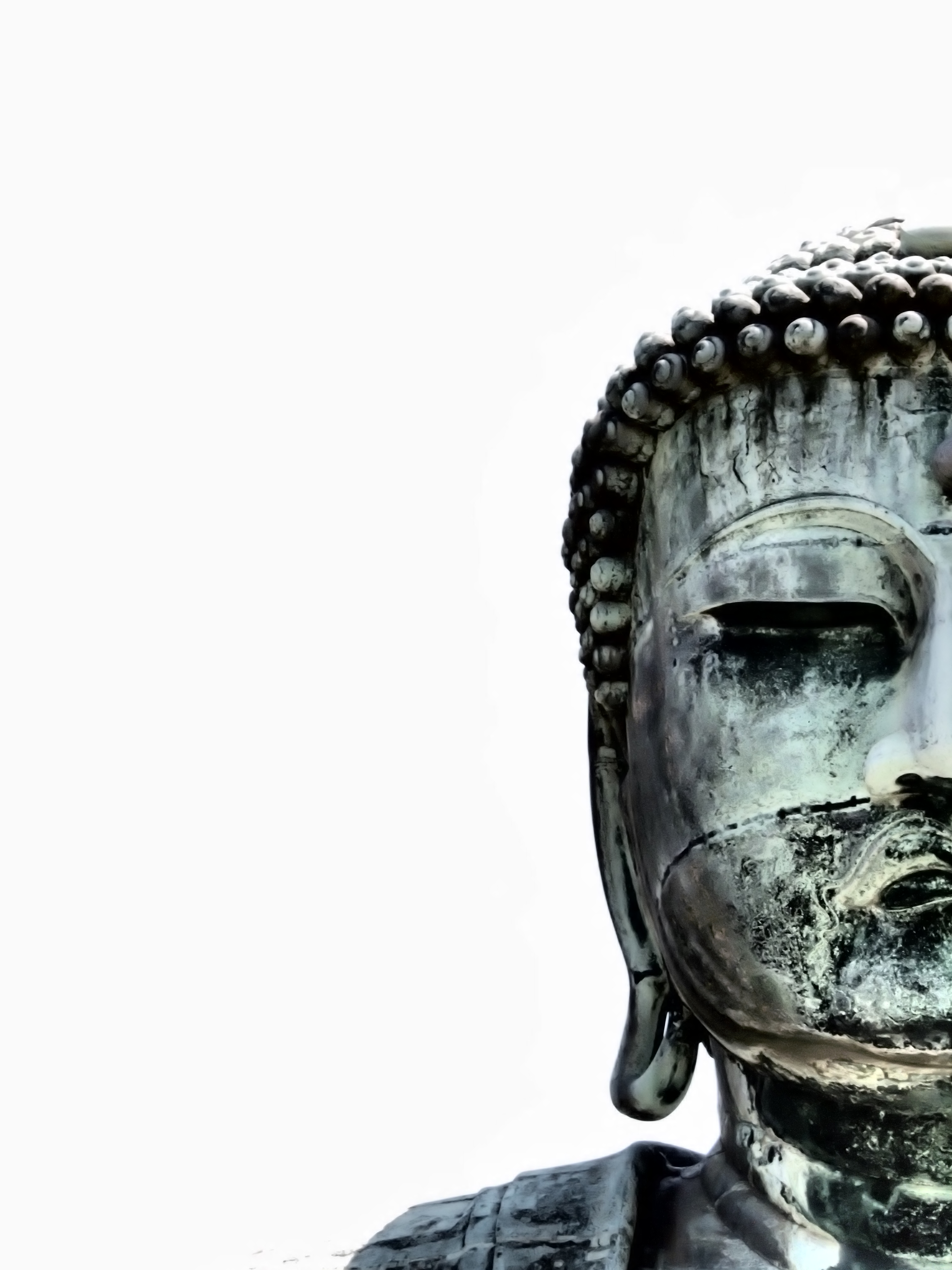 なにやら版画のような趣もある大仏