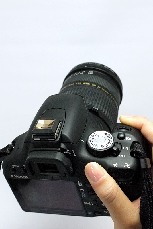 こちらはレンズのゴールドの文字にあわせてトパーズをチョイス。年季の入ったレンズだが、ちょっとイメージが変わる