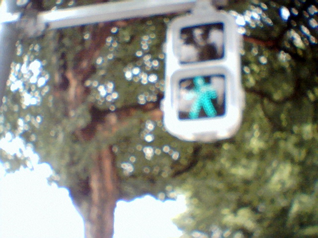 5mほど先の信号機もこの通り