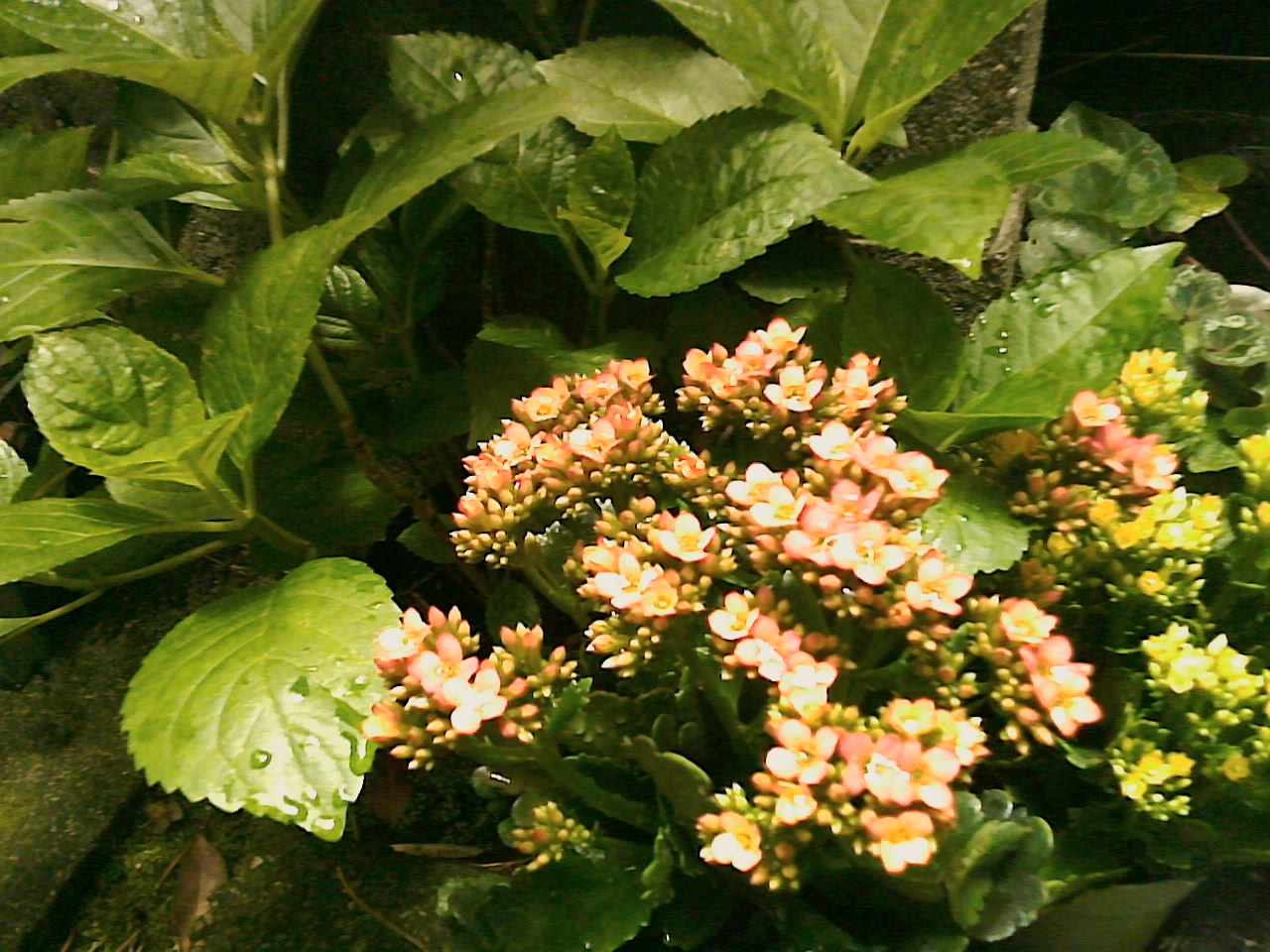 被写体から30cmくらい離れるといいらしい