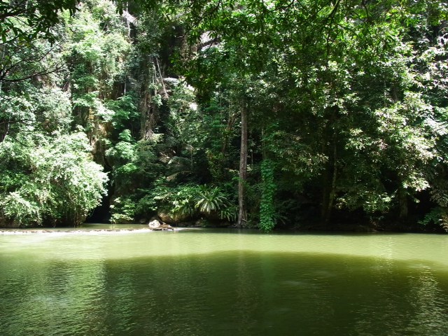 エメラルド・プールという天然のプール(撮影：薮内加奈)