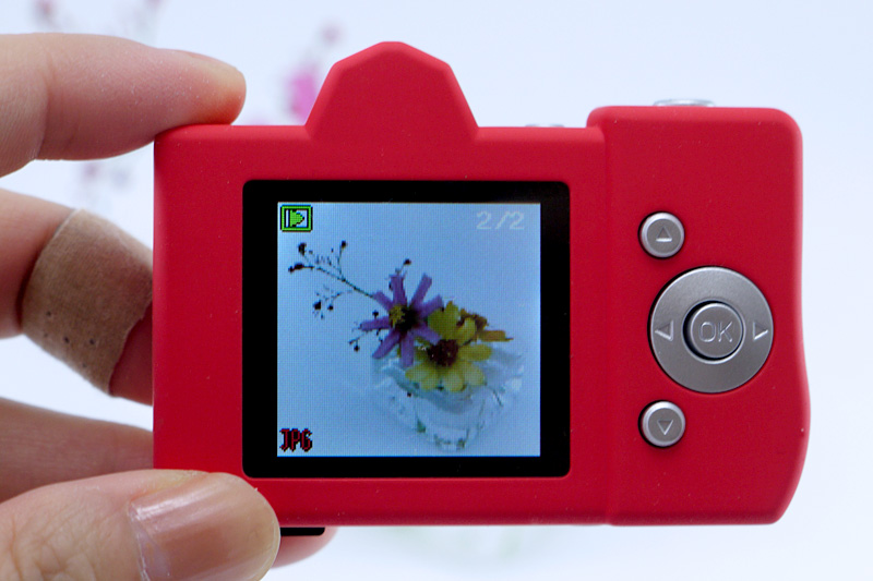 再生モード。音は聞こえませんが、動画も再生できます