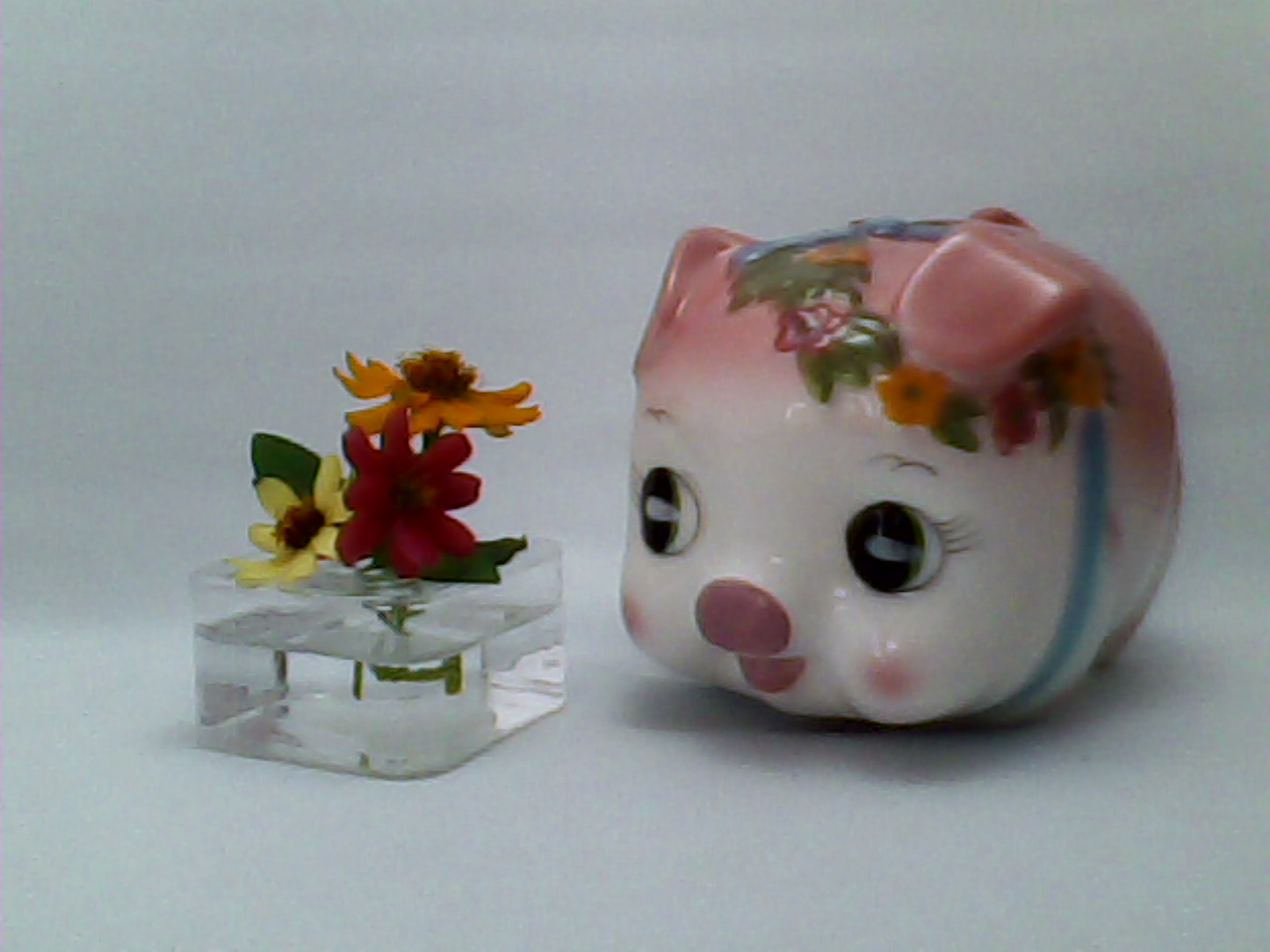 蛍光灯の下、ホワイトバランスはオート、露出補正なし、カラー効果はノーマルで撮影してみました