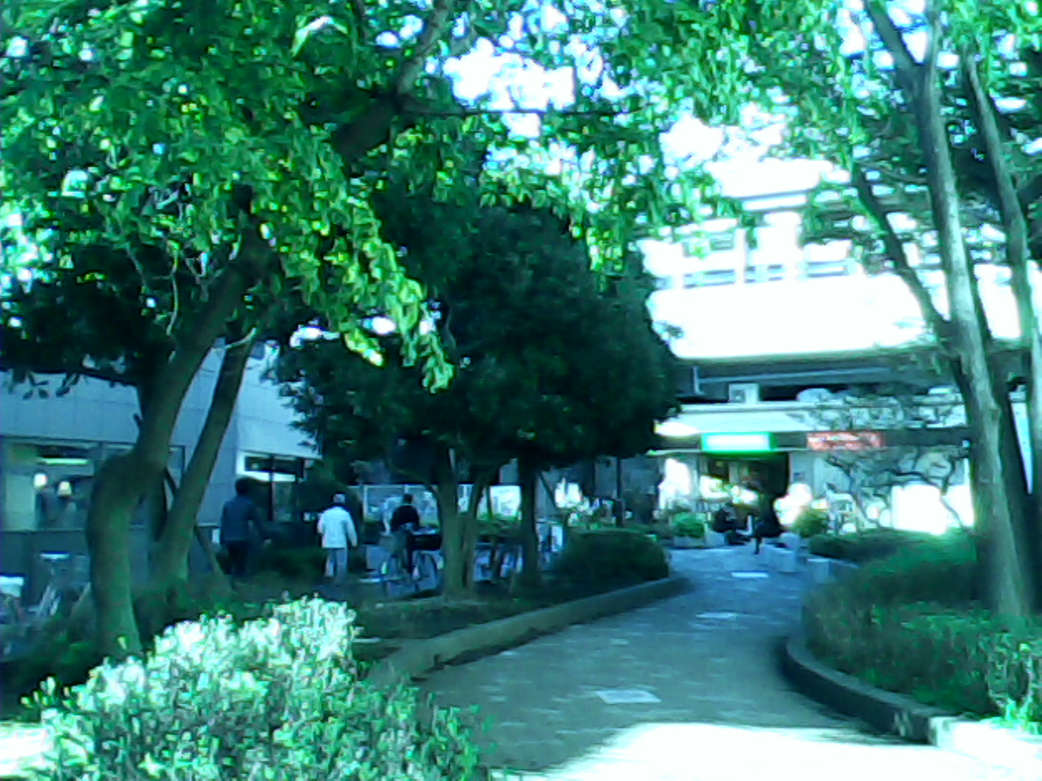 外で撮影すると、絵画のような写りになります