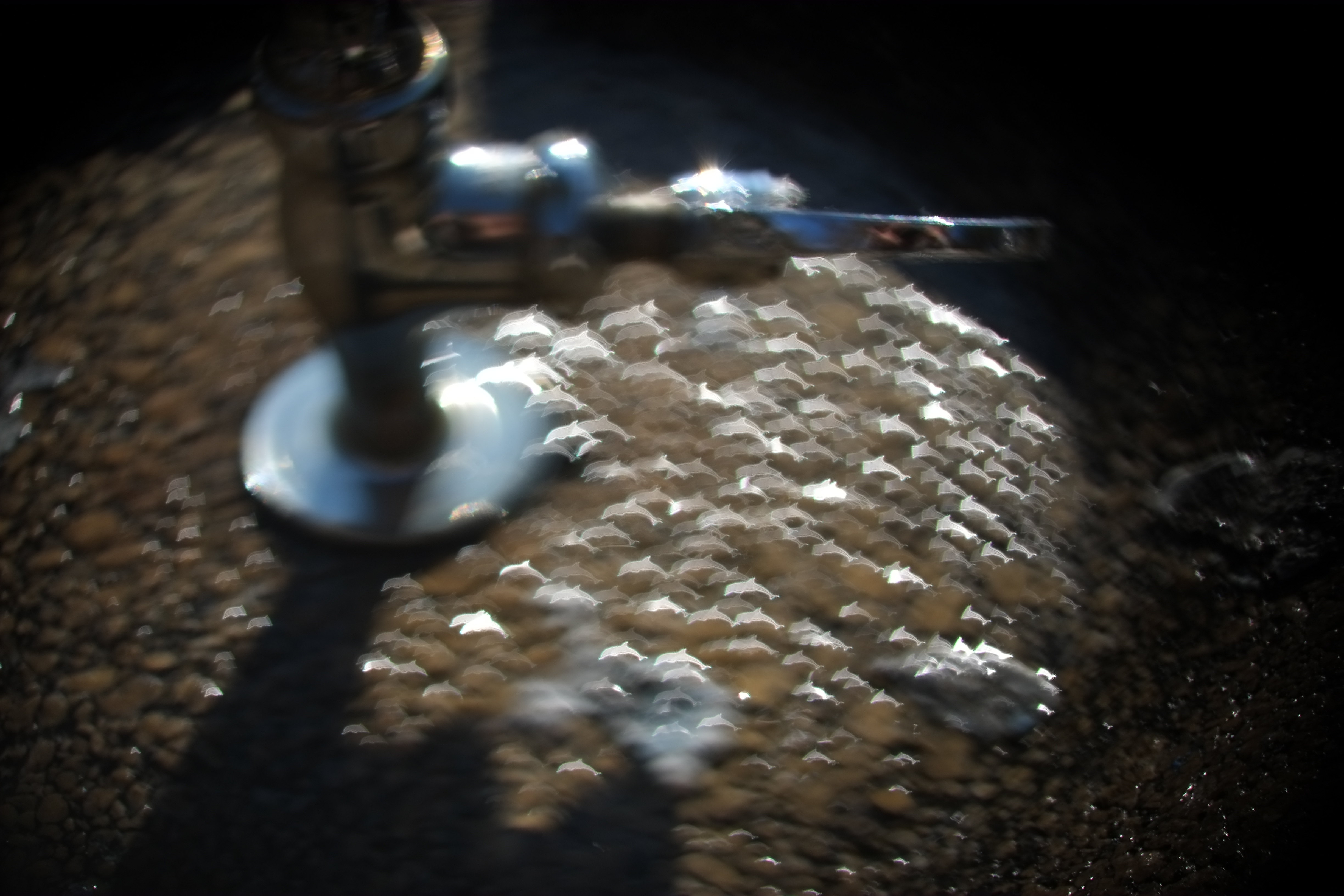 水面に反射する太陽の光の玉ボケを背景に利用して、ピントをズラして撮影した