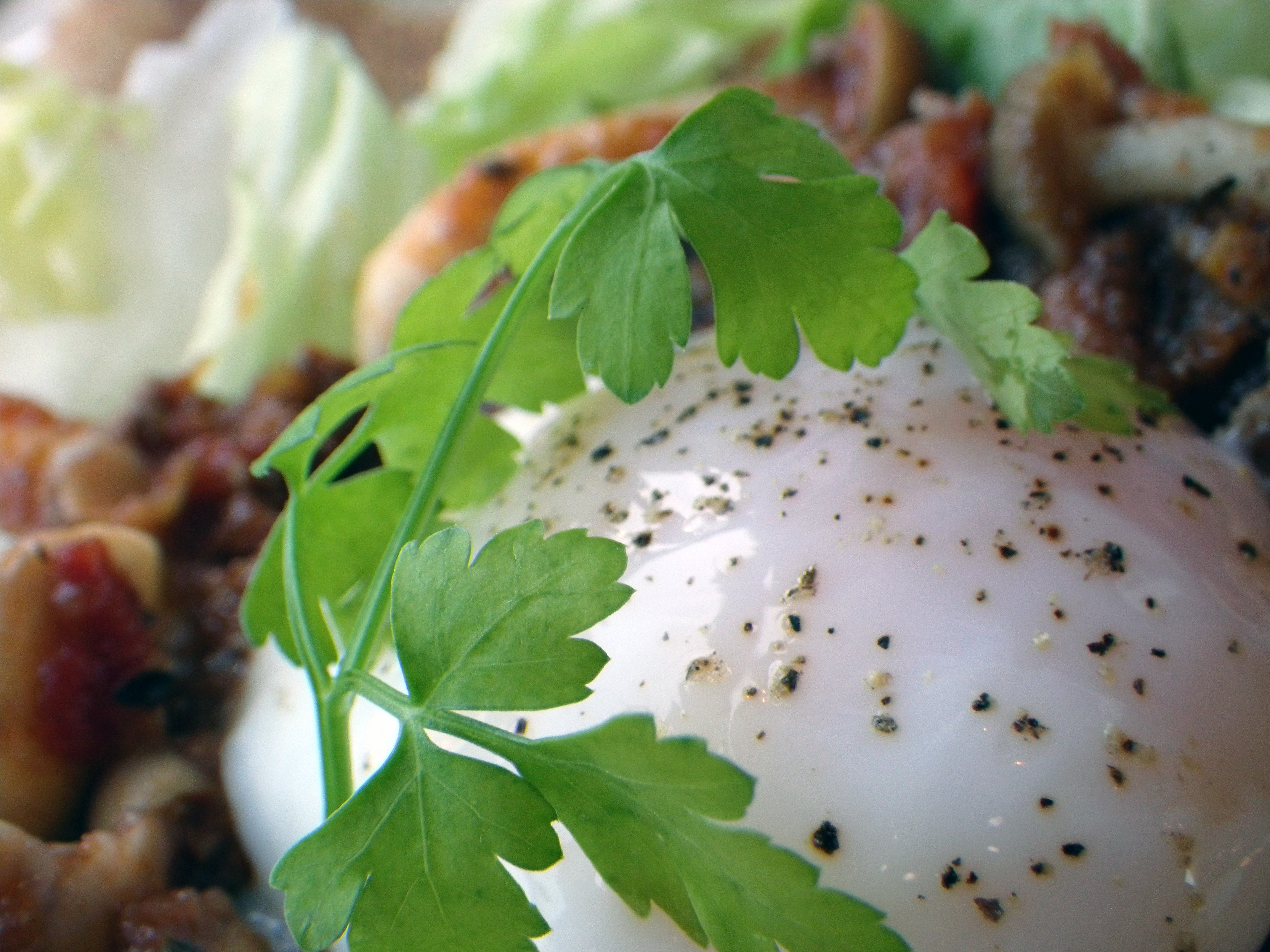 ガレットの上に乗った温泉卵がプルっとして美味しそうだったので、ハーブの緑をアクセントにしてグッと寄ってみました