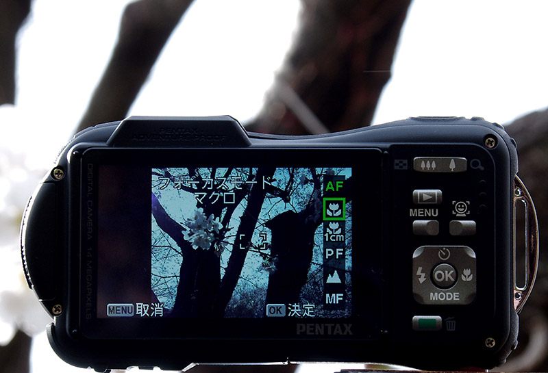 チューリップのアイコンを選択してマクロ撮影モードにしましょう